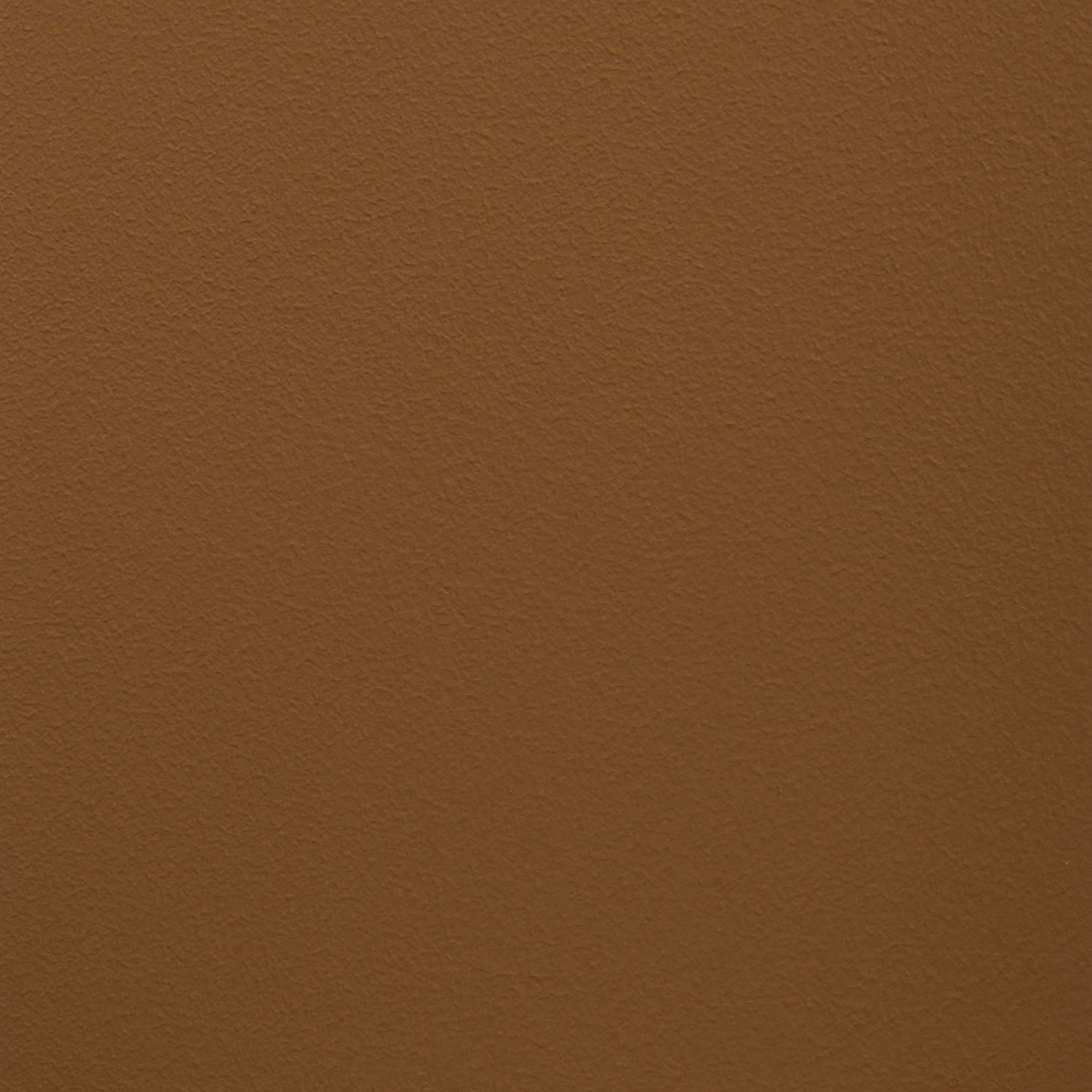 Paint Collection | Everybody Loves a Nut