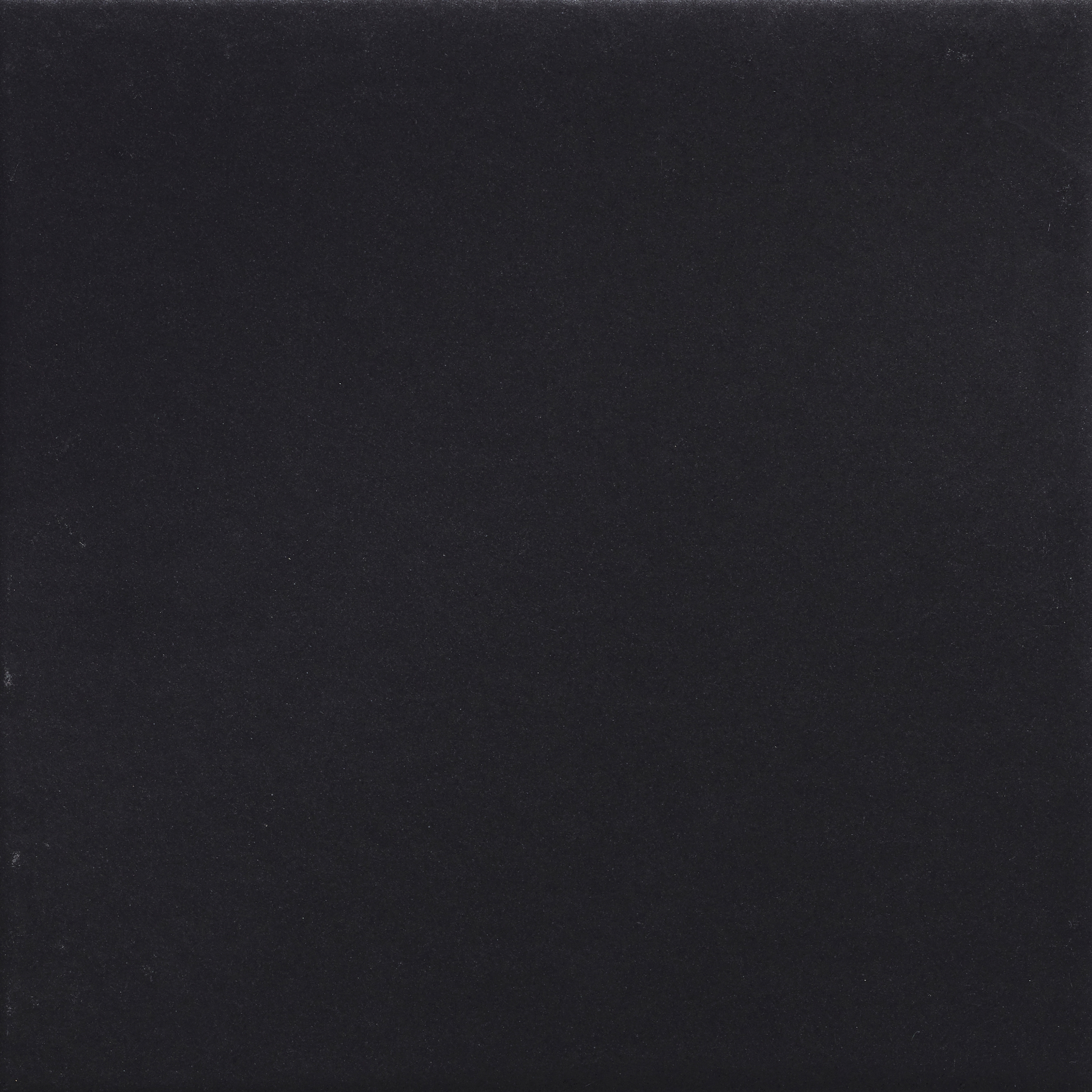 Display product Pop Solid Color | Black swan from manufacturer File Under Pop