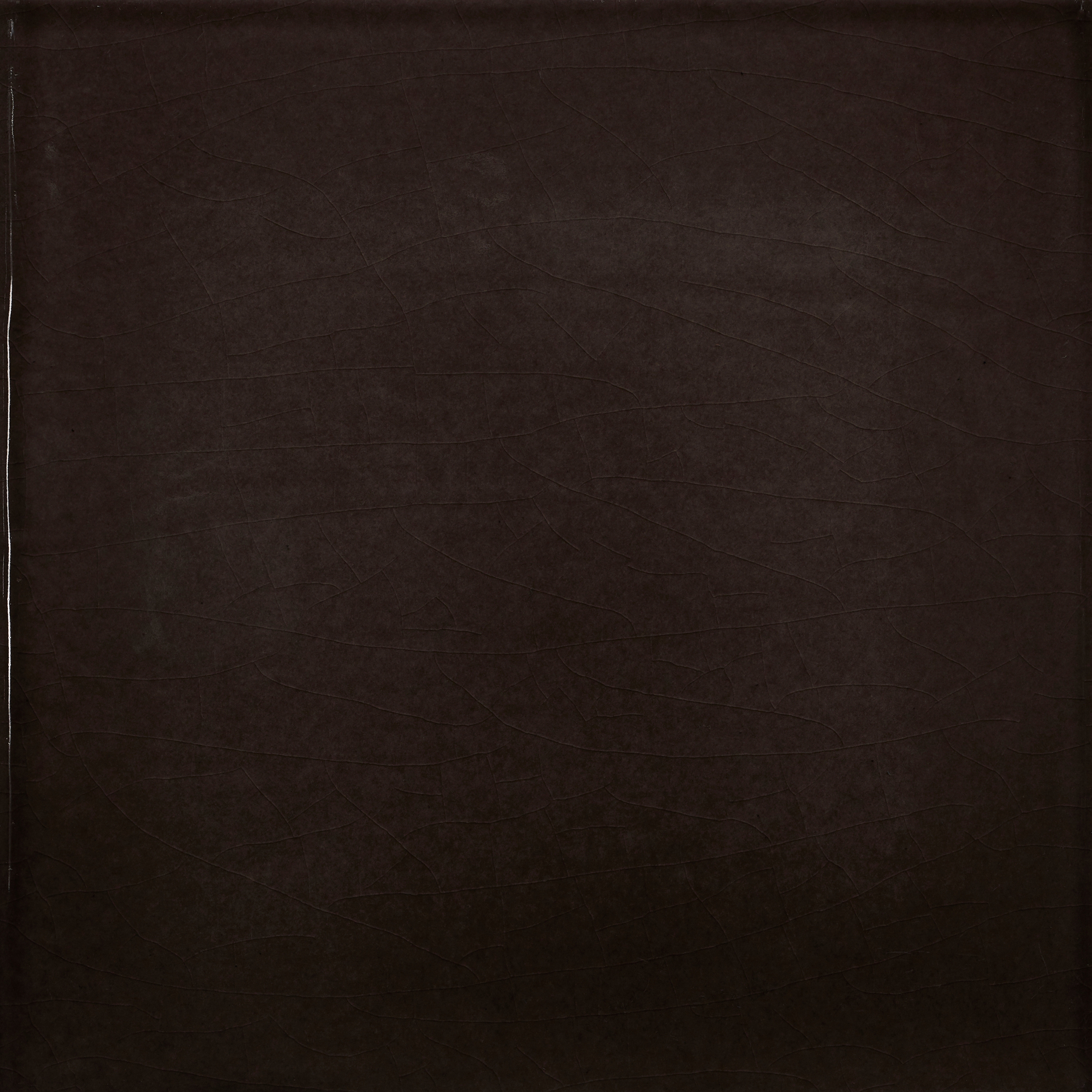 Pop Solid Color | Black swan