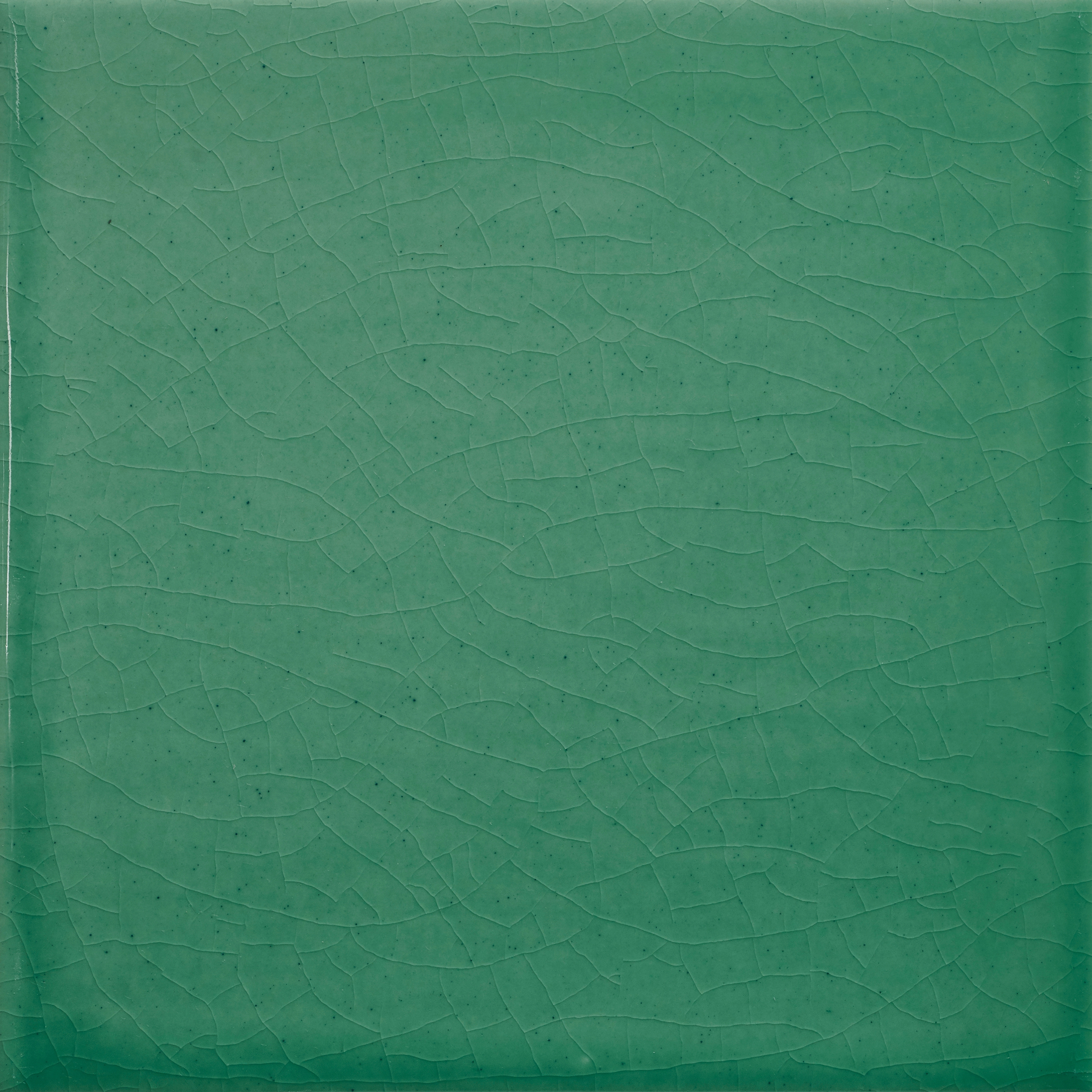 Pop Solid Color | Green Earrings