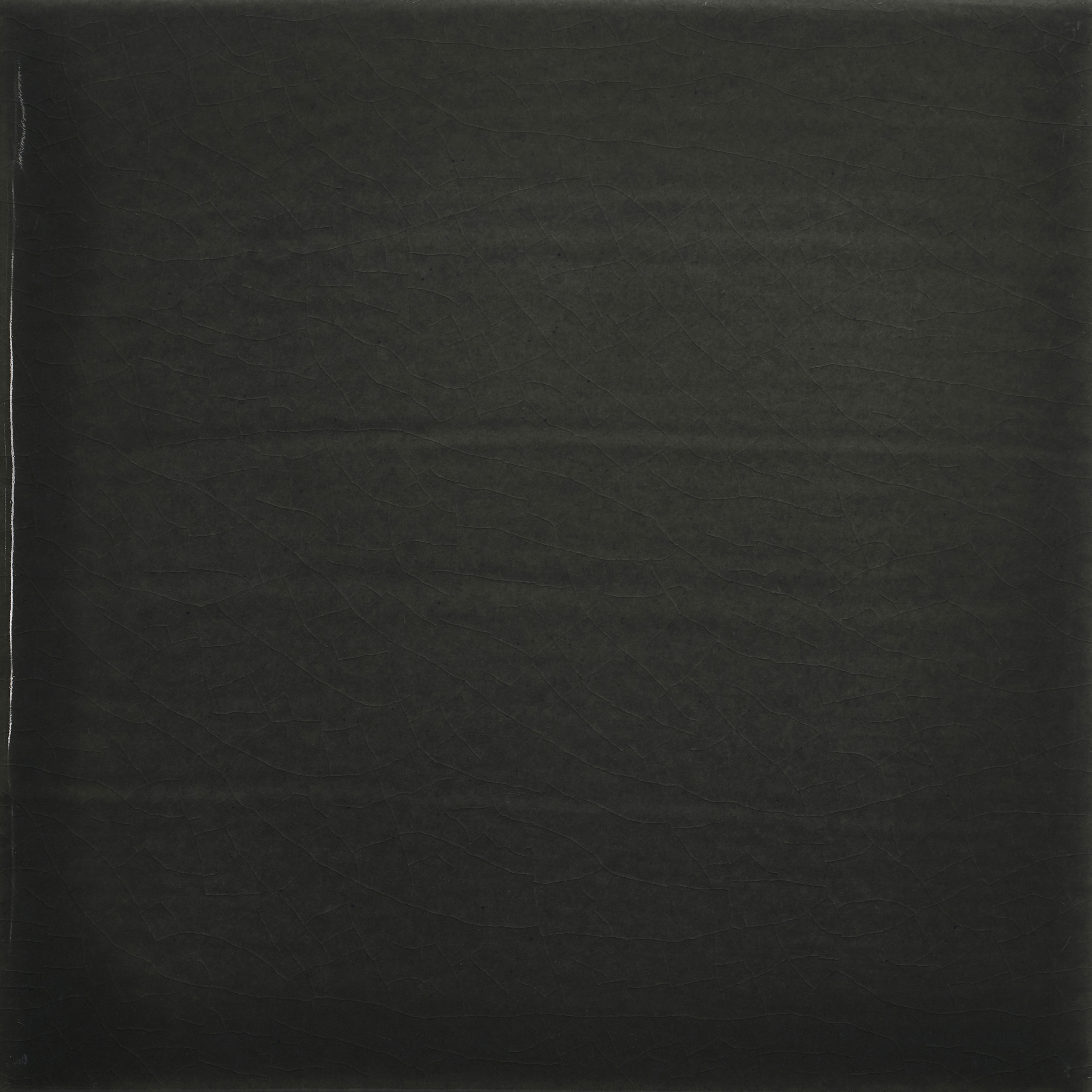 Pop Solid Color | Lost In The Grey