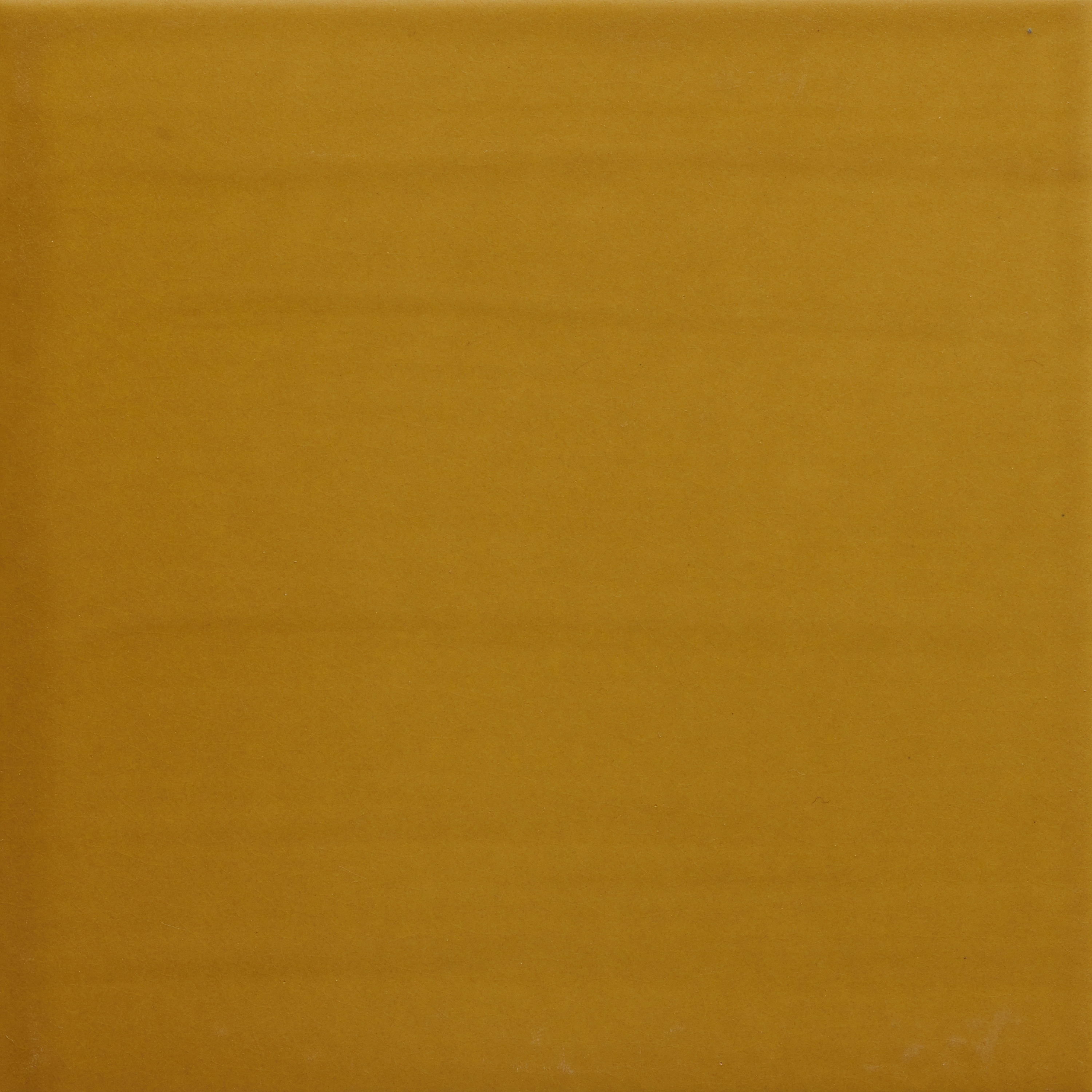 Pop Solid Color | Mean Mr.Mustard