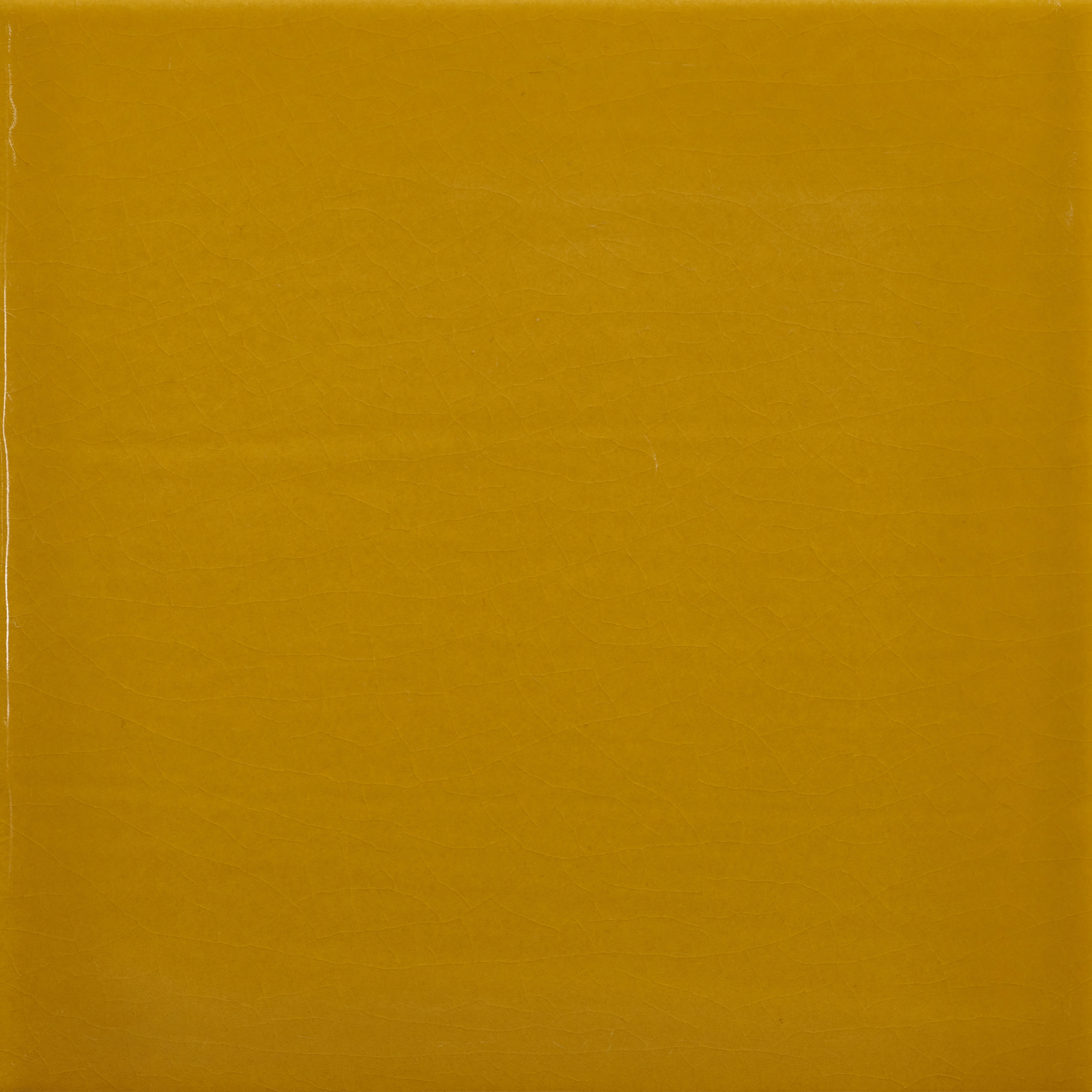 Pop Solid Color | Mean Mr.Mustard