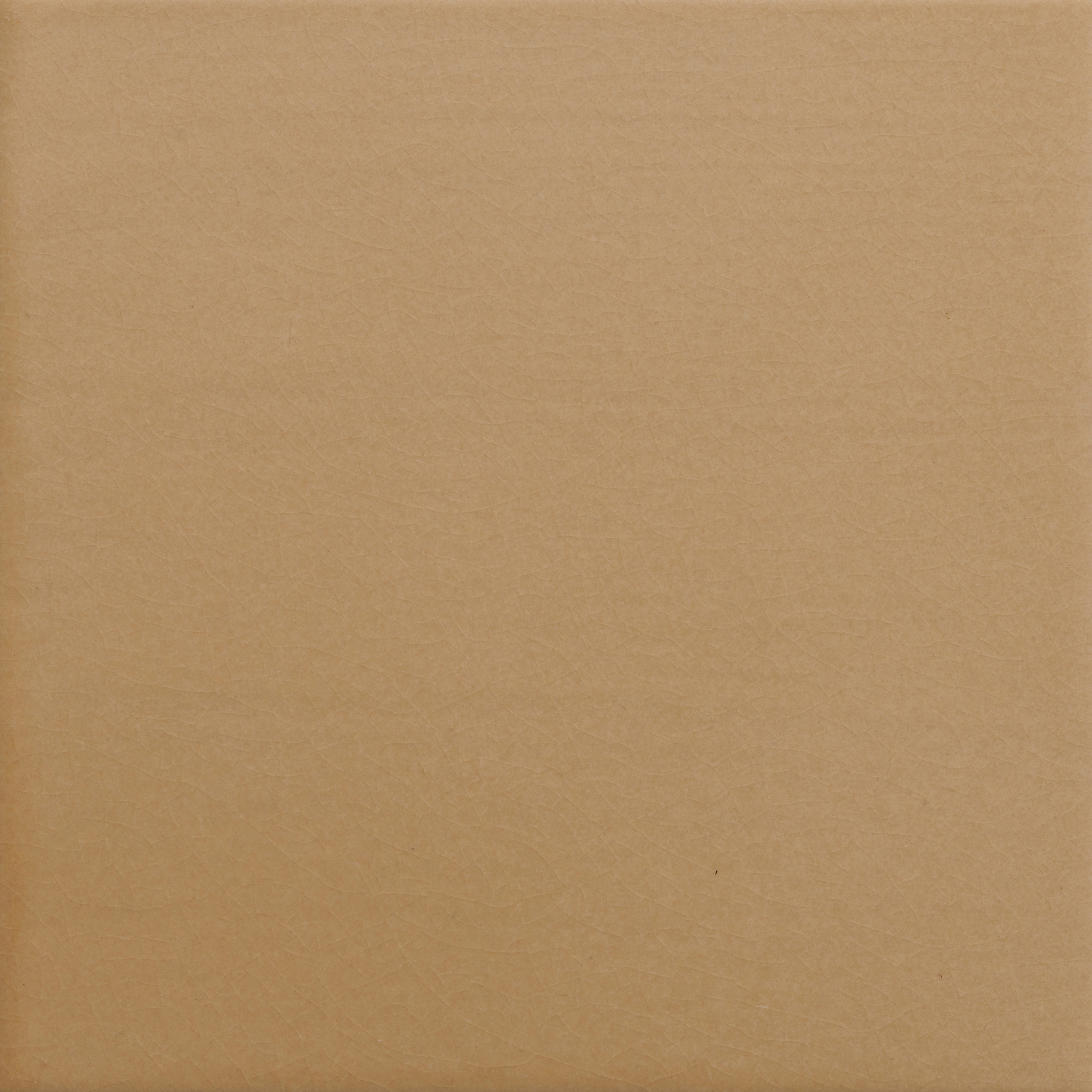 Pop Solid Color | Sahara Sand