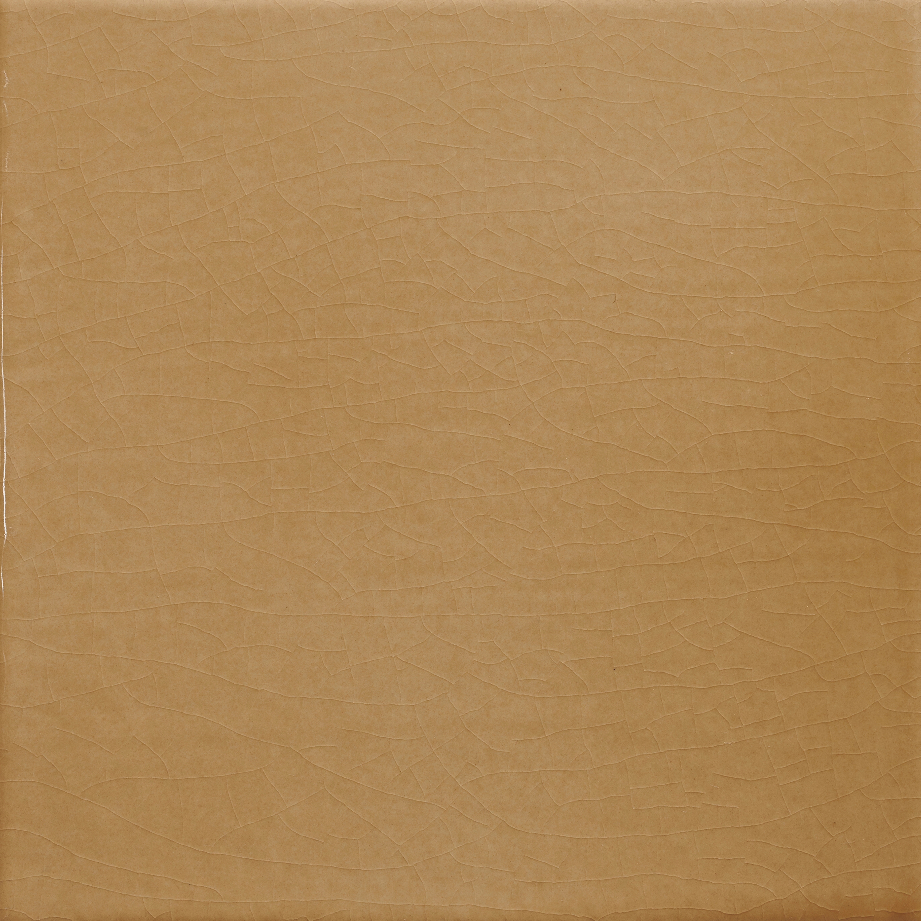 Pop Solid Color | Sahara Sand