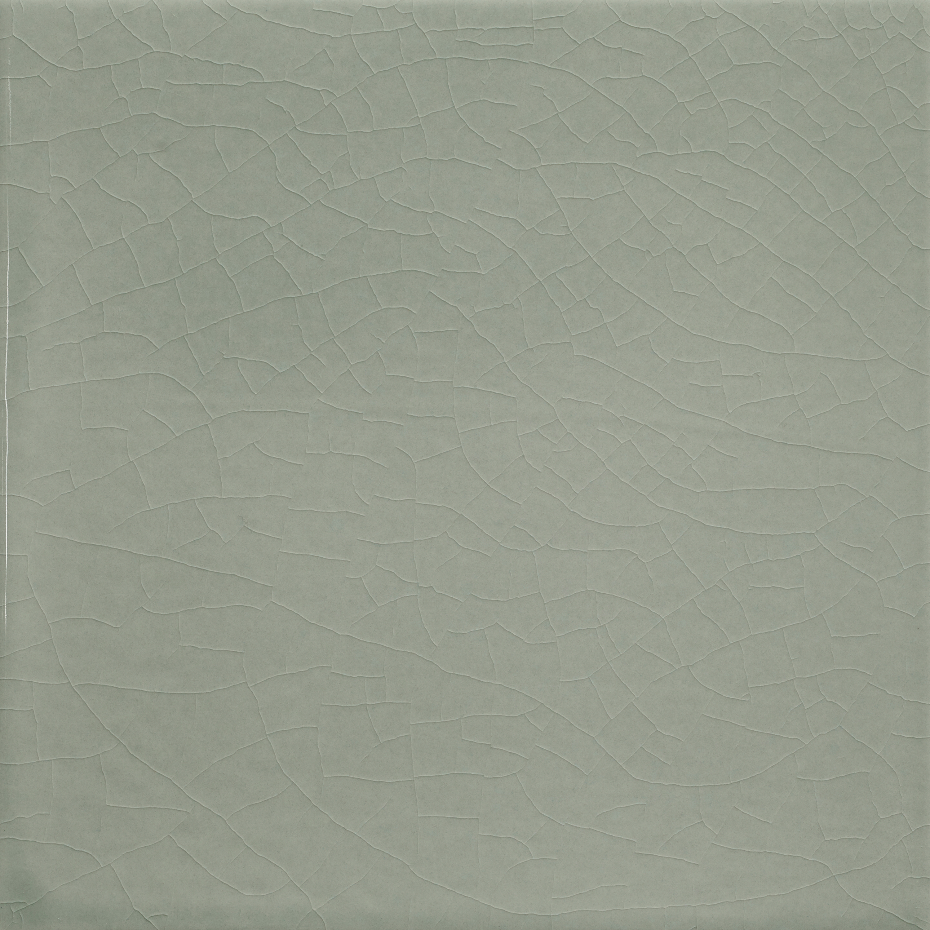 Pop Solid Color | Touch Of Grey