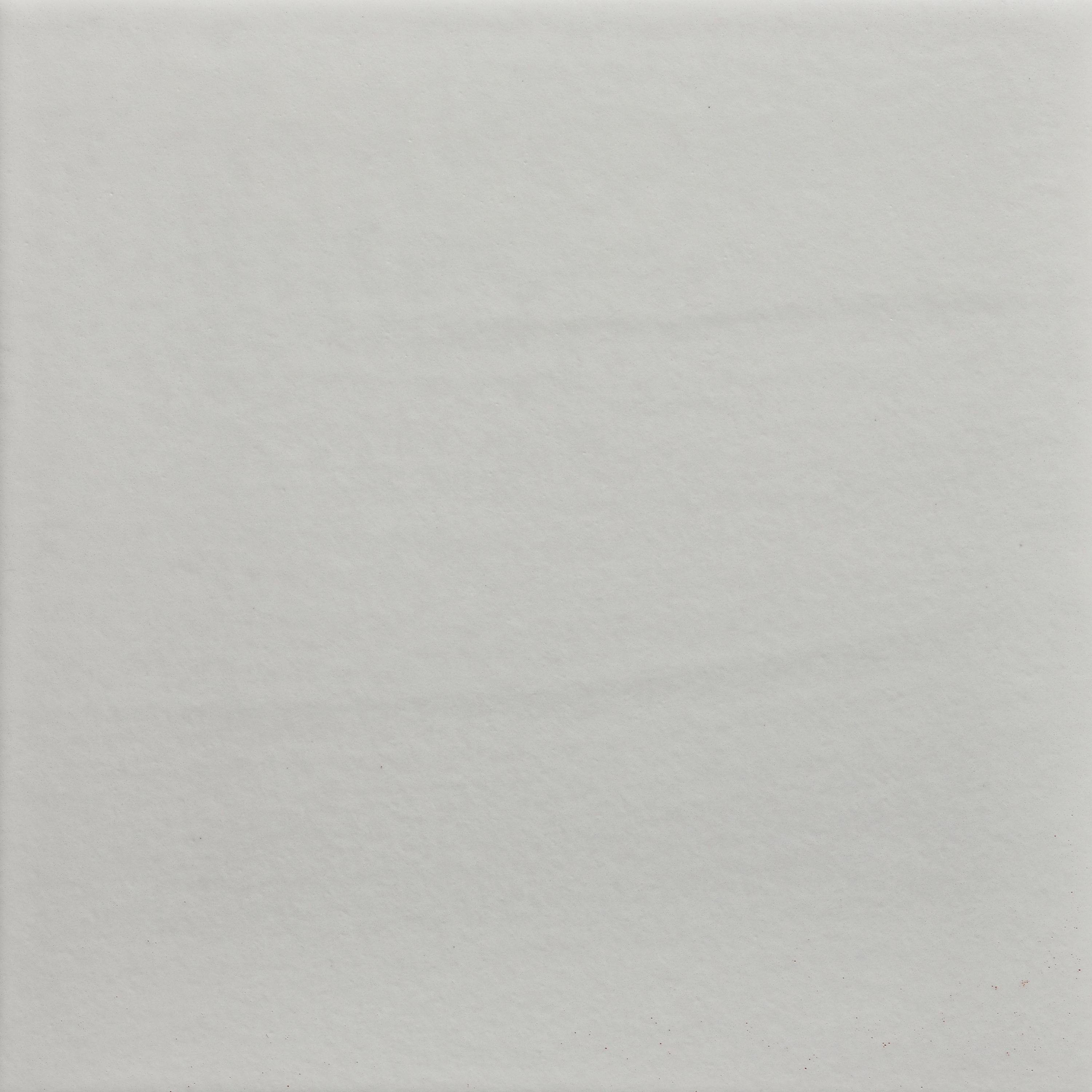 Pop Solid Color | White Rabbit