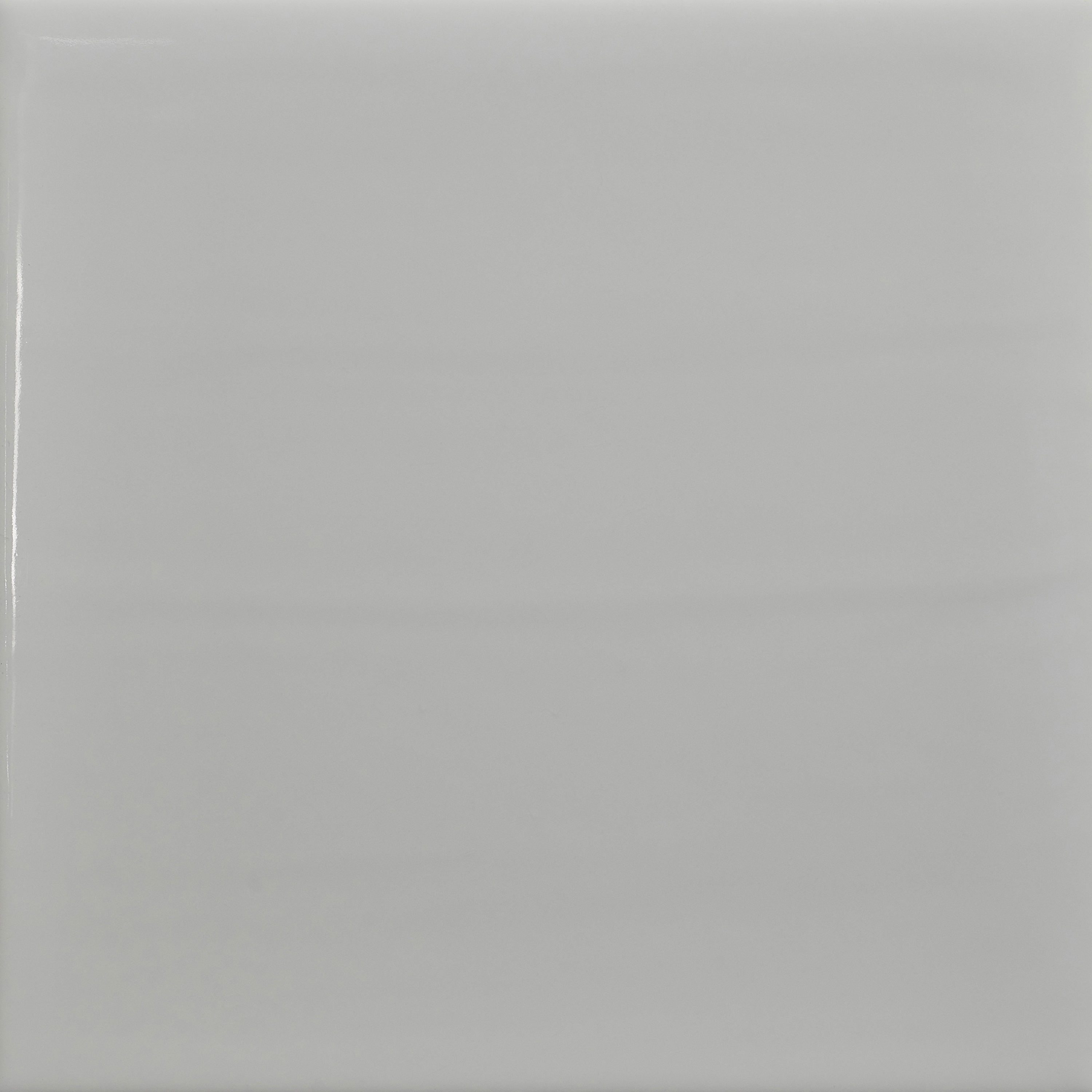 Pop Solid Color | White Rabbit