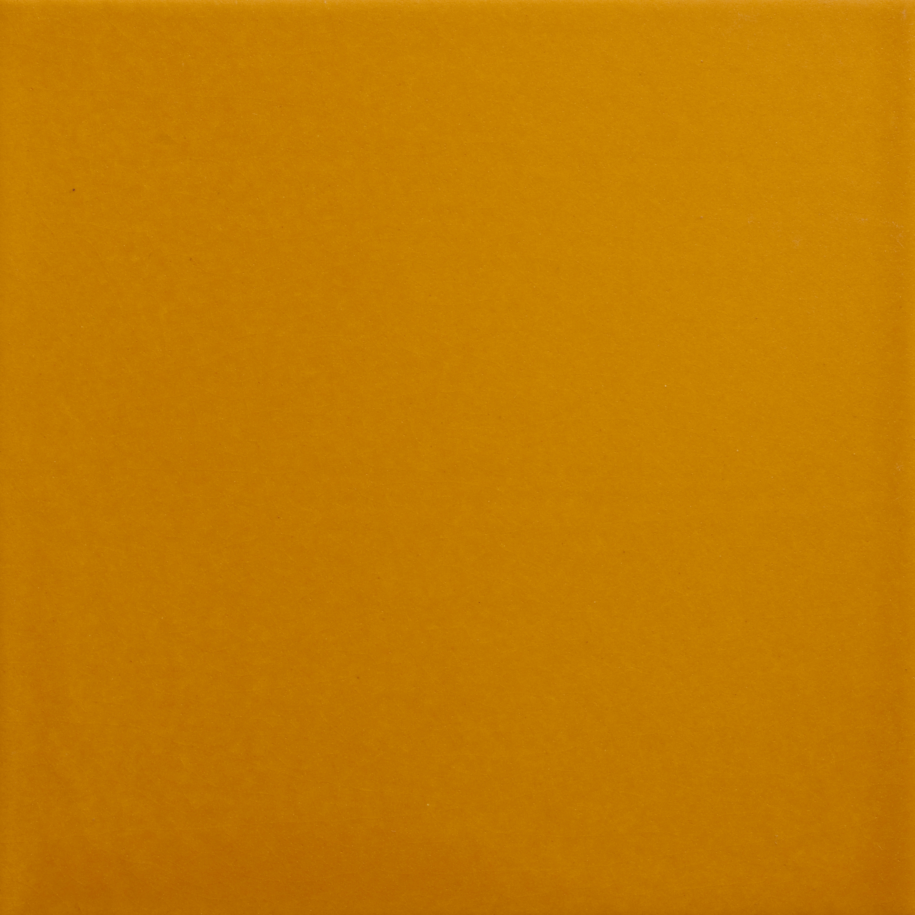 Pop Solid Color | Yellow Submarine