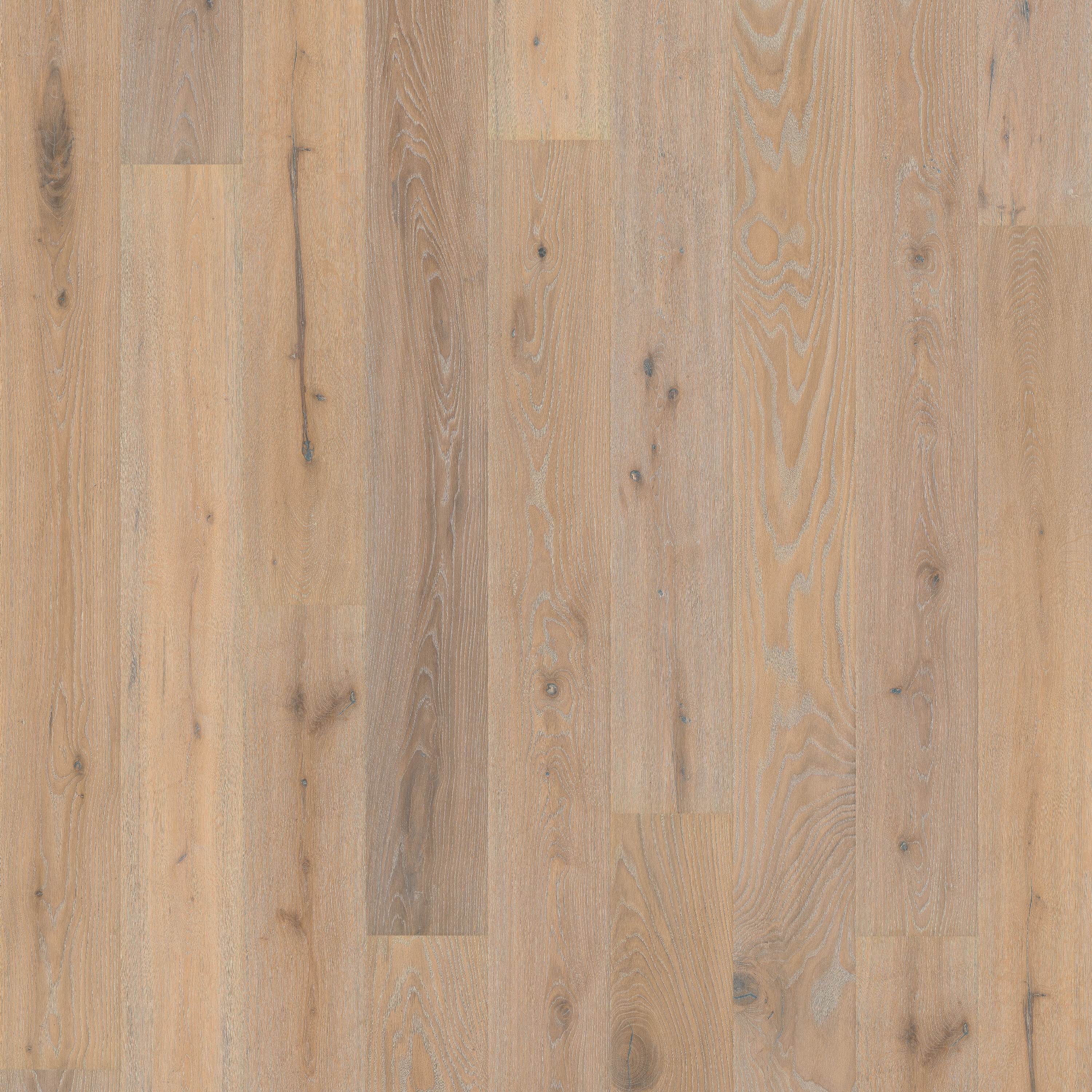 Display product Artisan | Oak Oyster from manufacturer Kährs