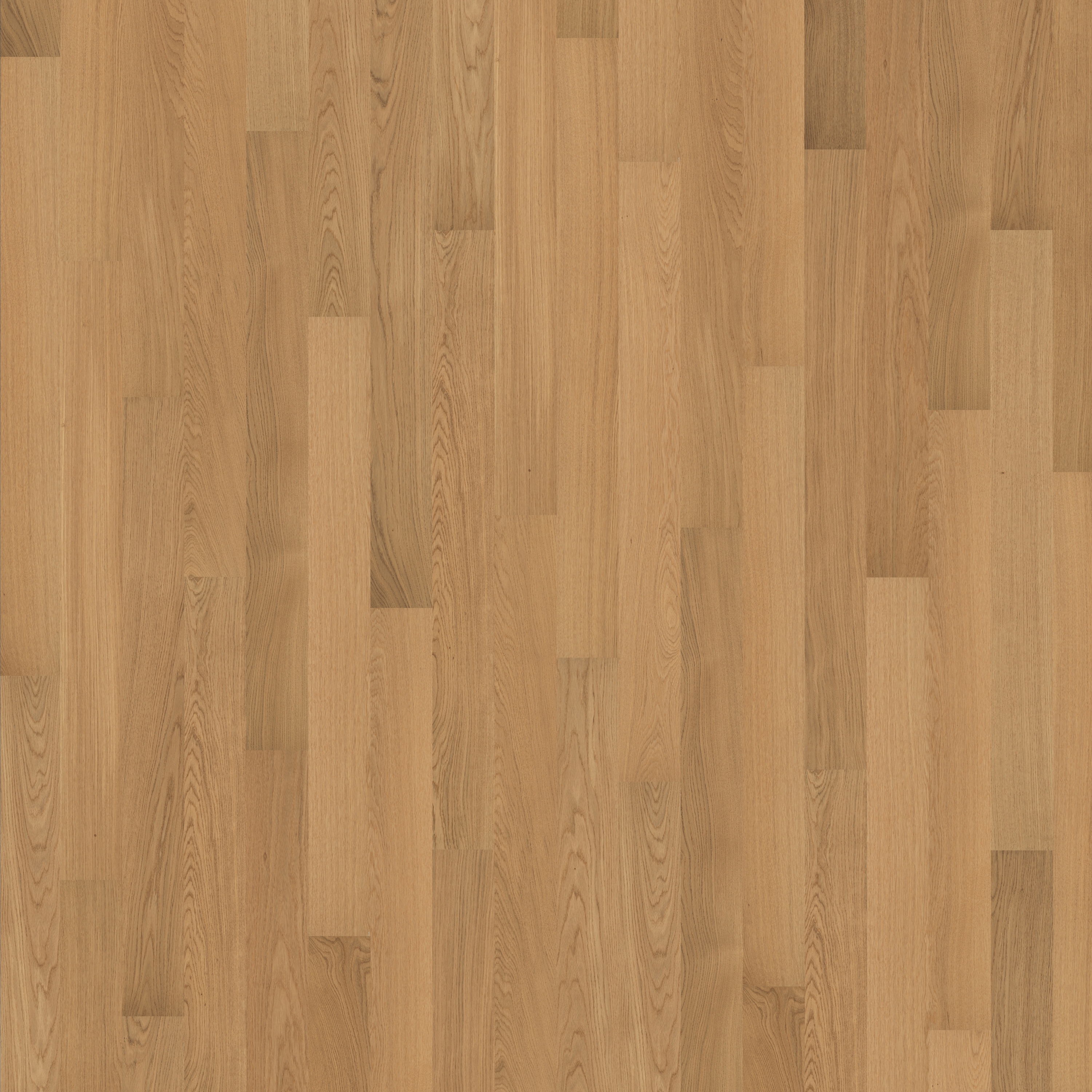 Display product Atelier | Oak AB 11 mm from manufacturer Kährs