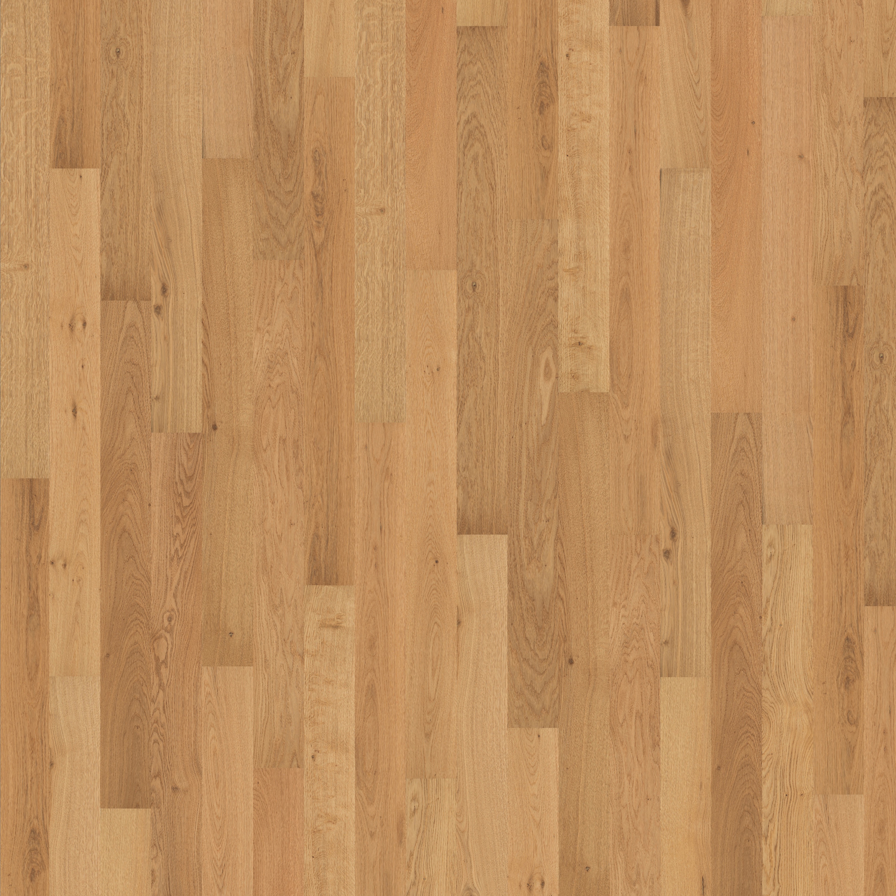 Atelier | Oak CD 11 mm