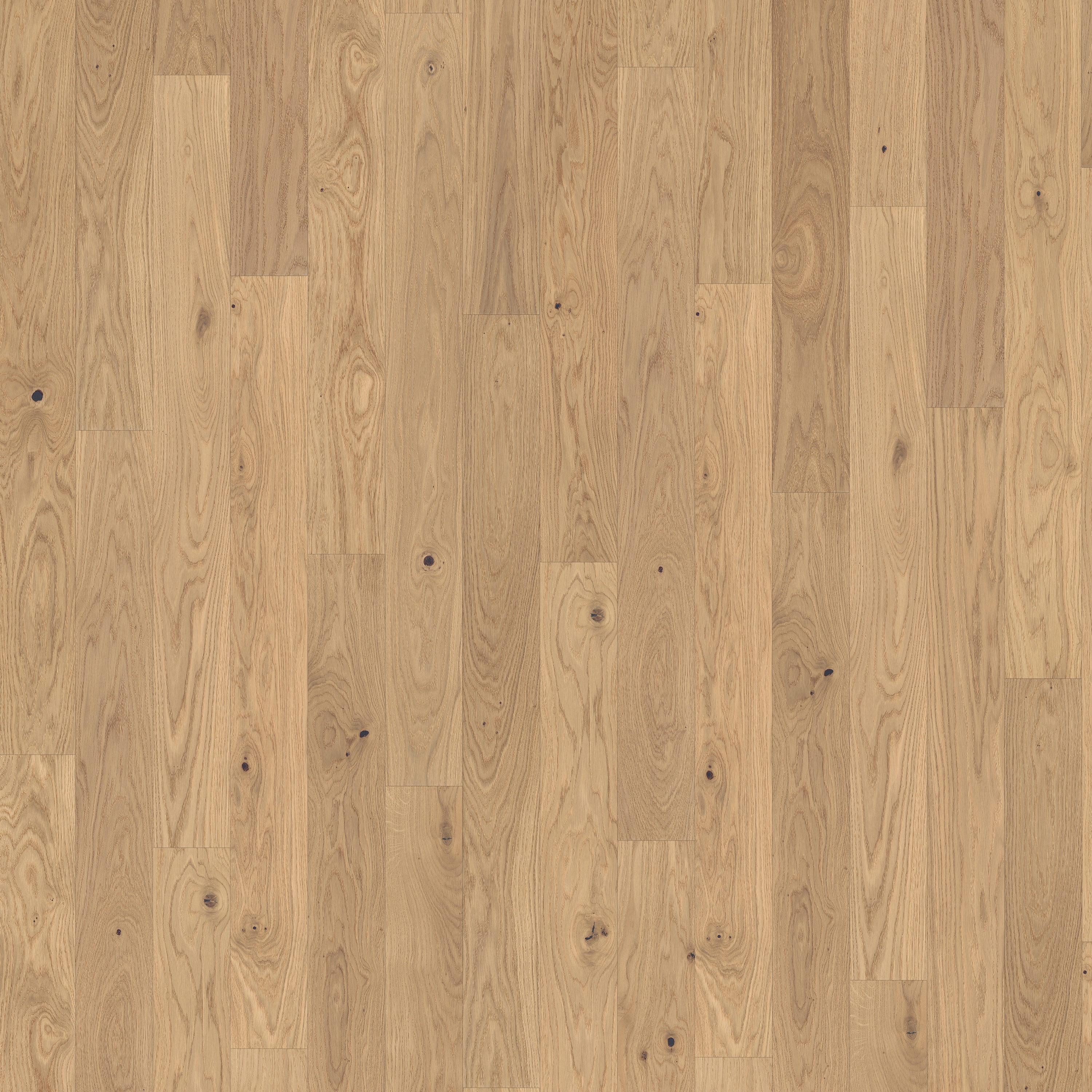 Atelier | Oak CD White 11 mm