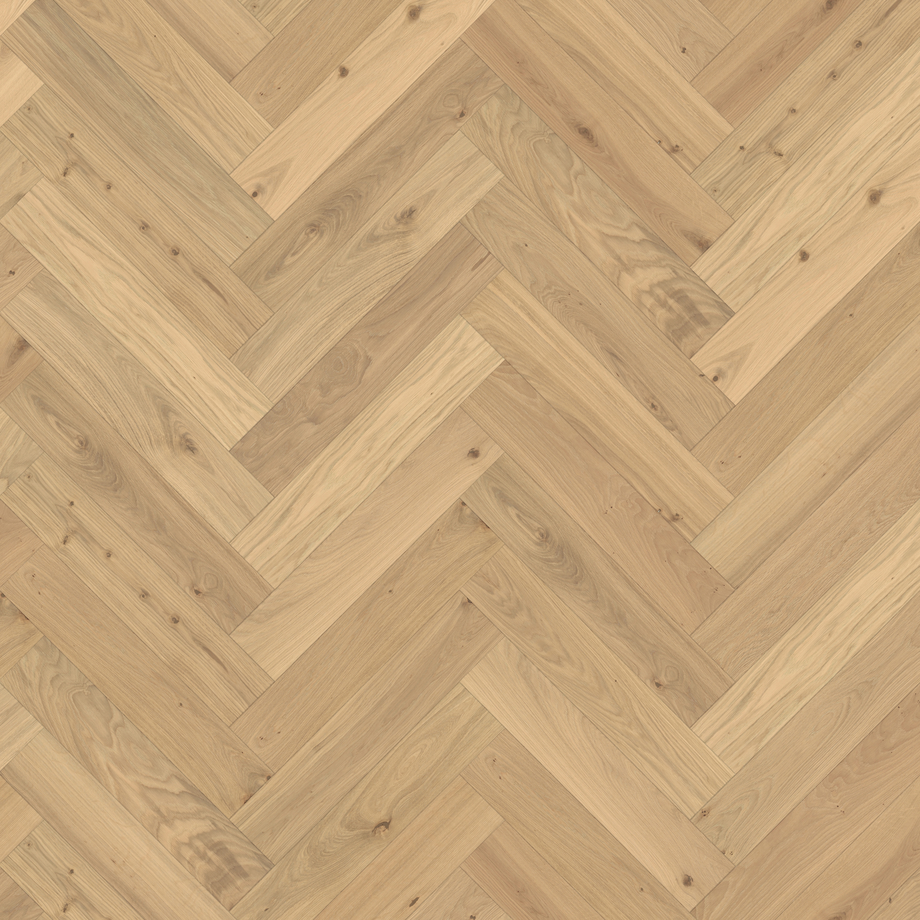 Herringbone | Oak CC Dim White