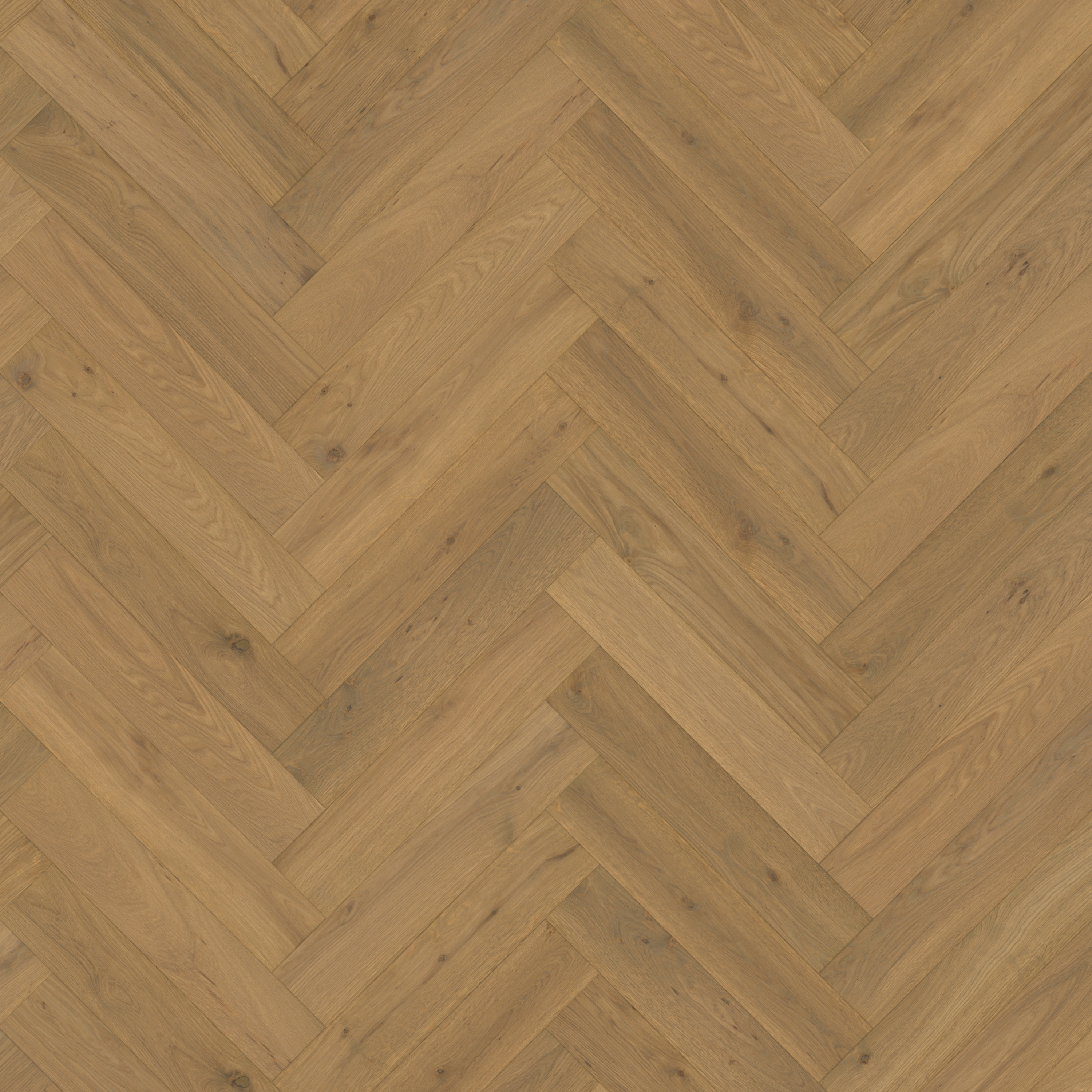 Display product Herringbone | Oak CD Grey from manufacturer Kährs