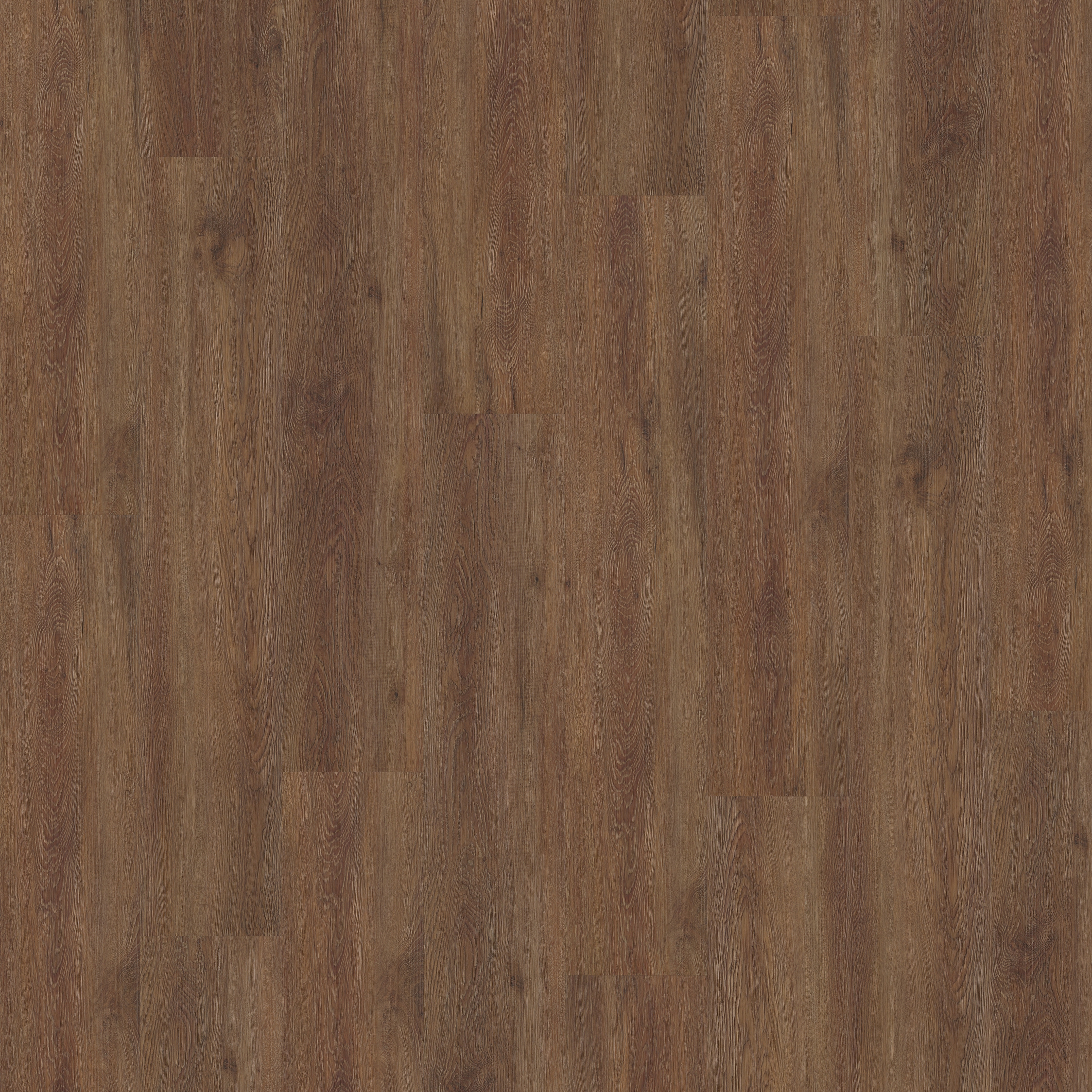 Rigid Click Wood Design Rustic | Belluno CLW 172