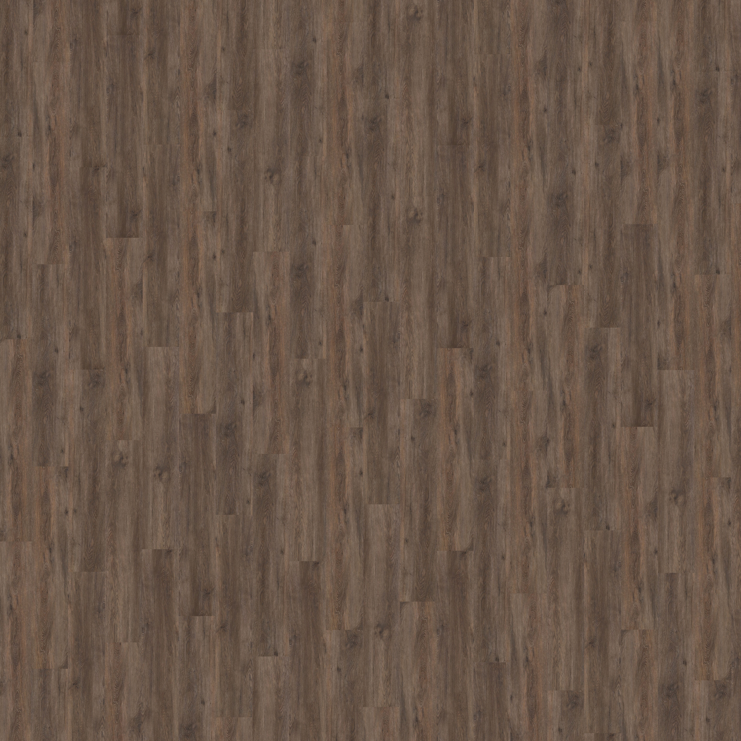 Nature | Saxon CLW 218