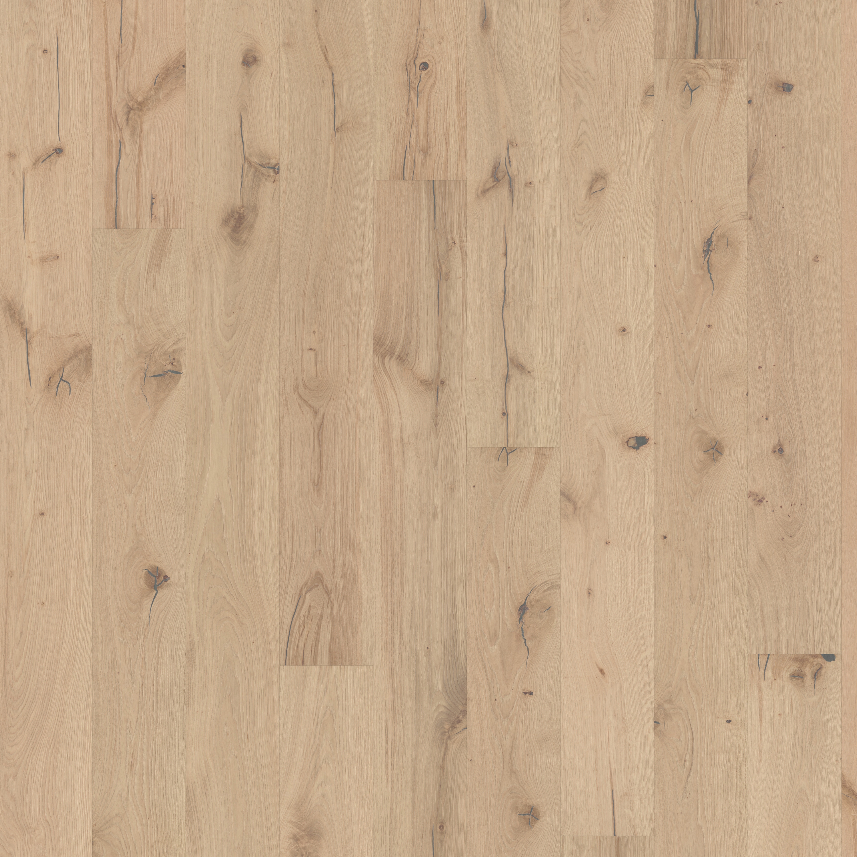 Display product Boardwalk | Oak Pallido from manufacturer Kährs