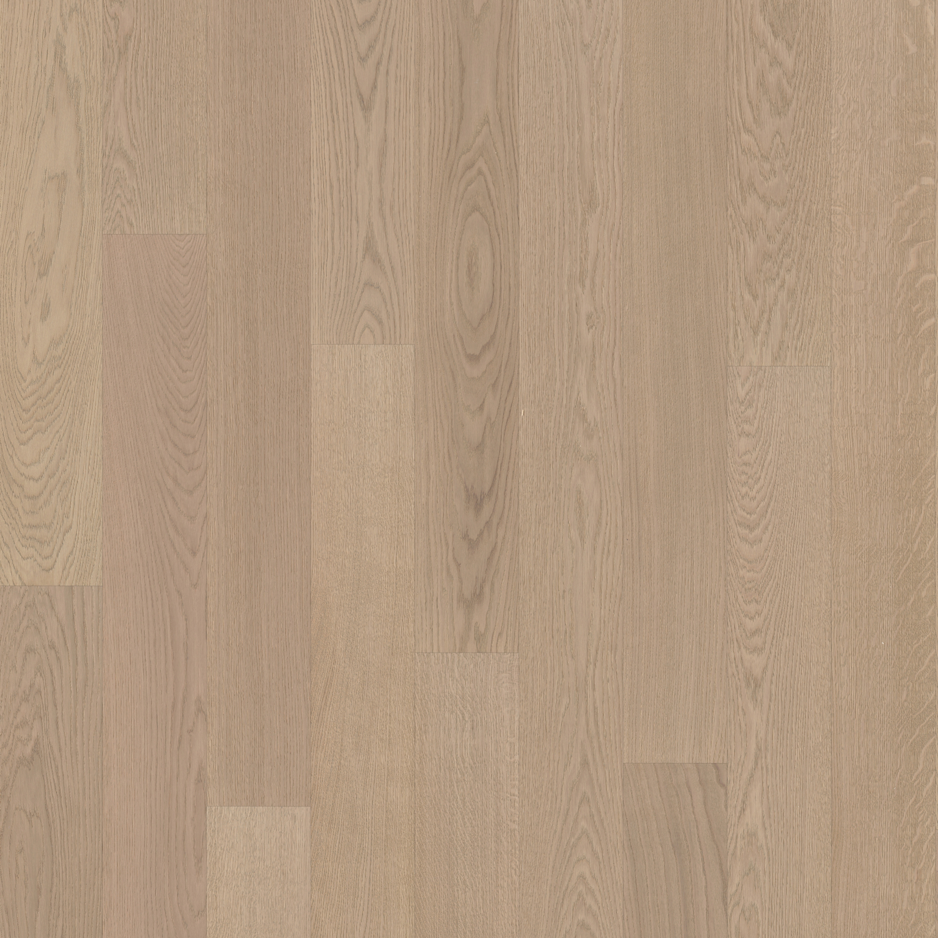 Display product Capital | Oak Prague from manufacturer Kährs