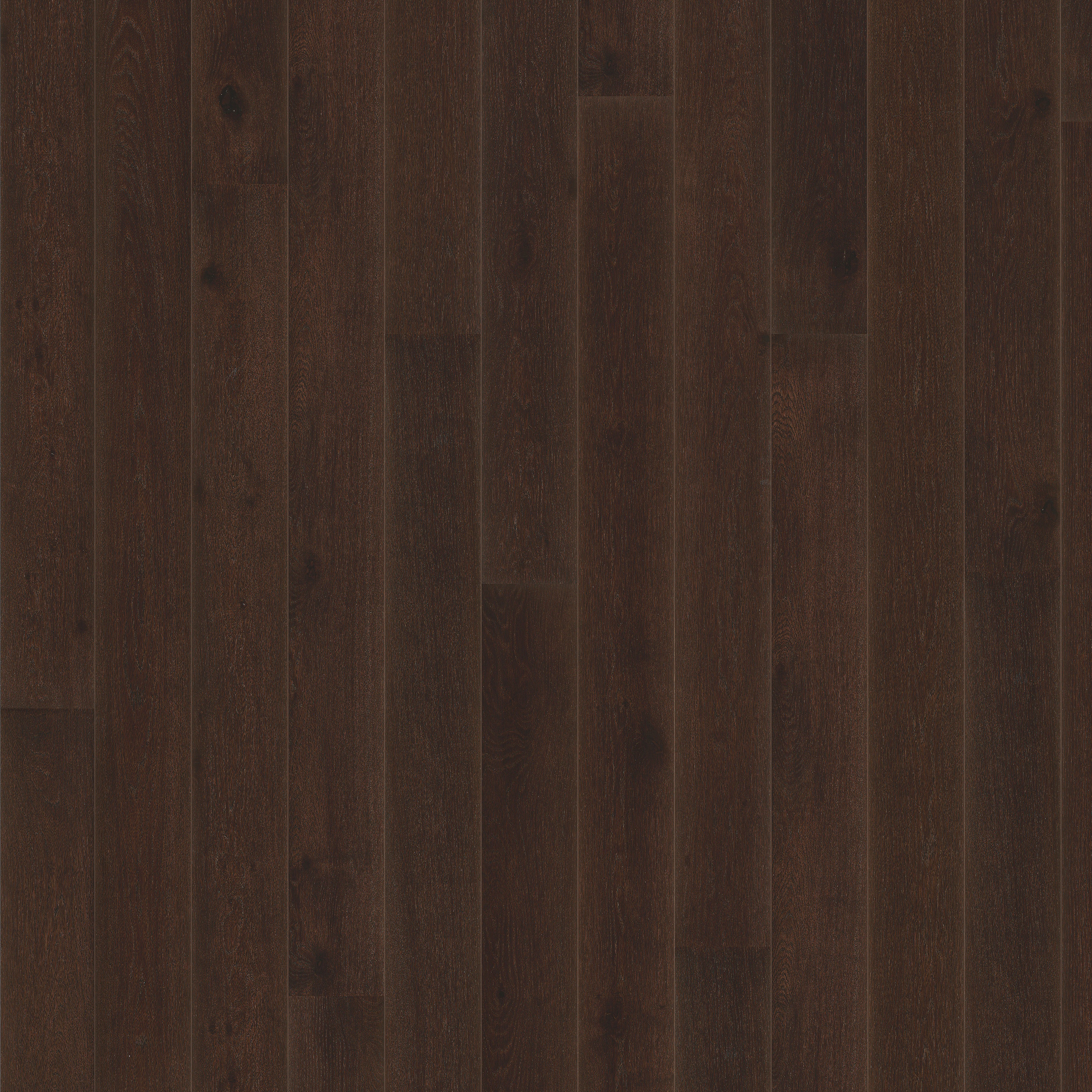 Display product Classic Nouveau | Oak Black from manufacturer Kährs