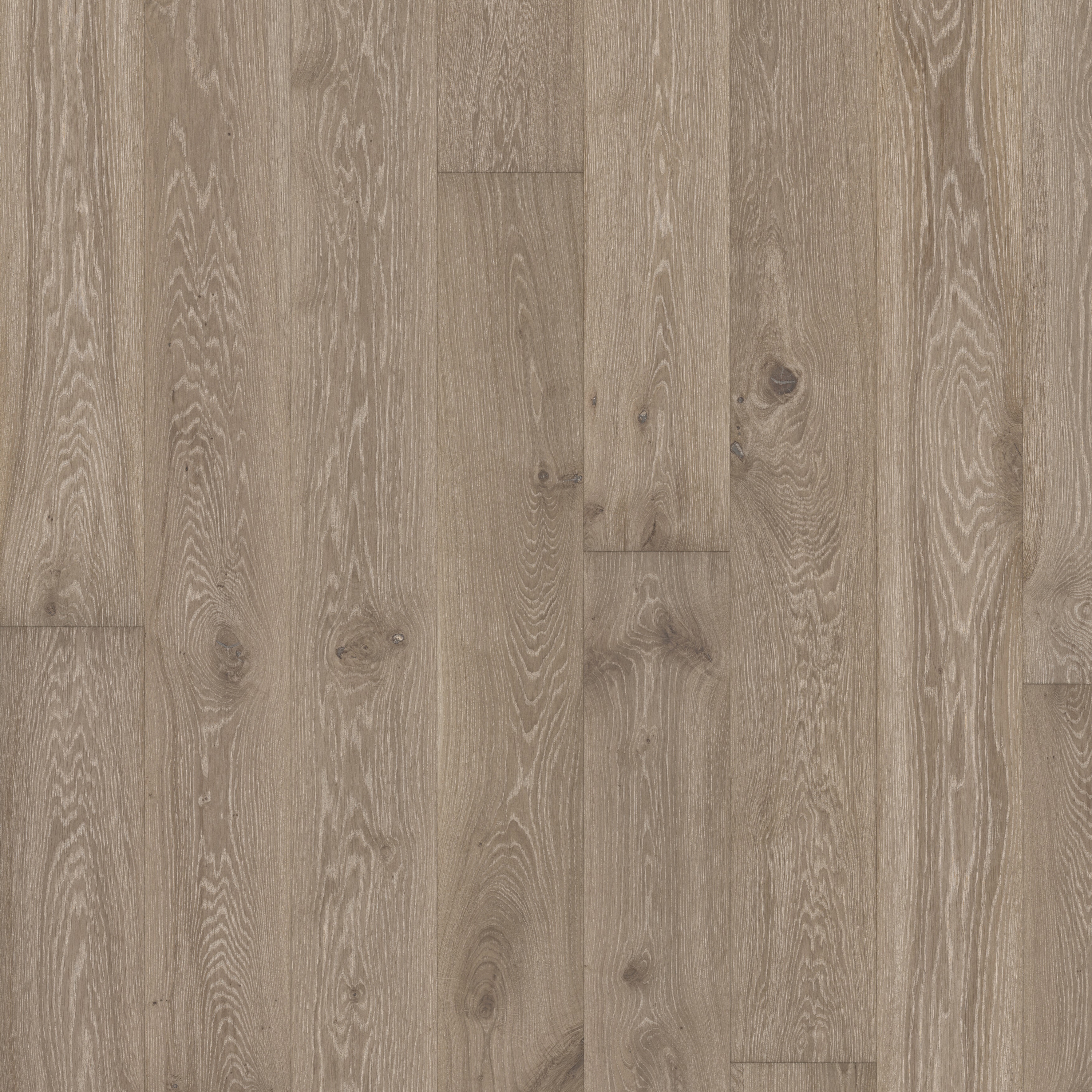 Display product Classic Nouveau | Oak Gray from manufacturer Kährs