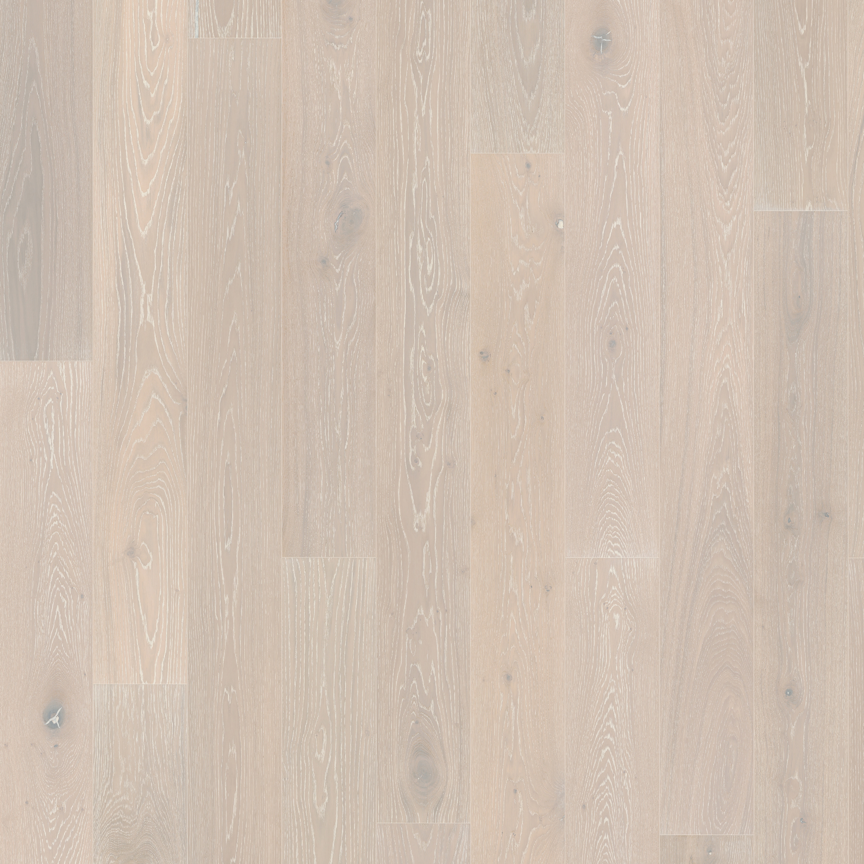 Display product Classic Nouveau | Oak Snow from manufacturer Kährs