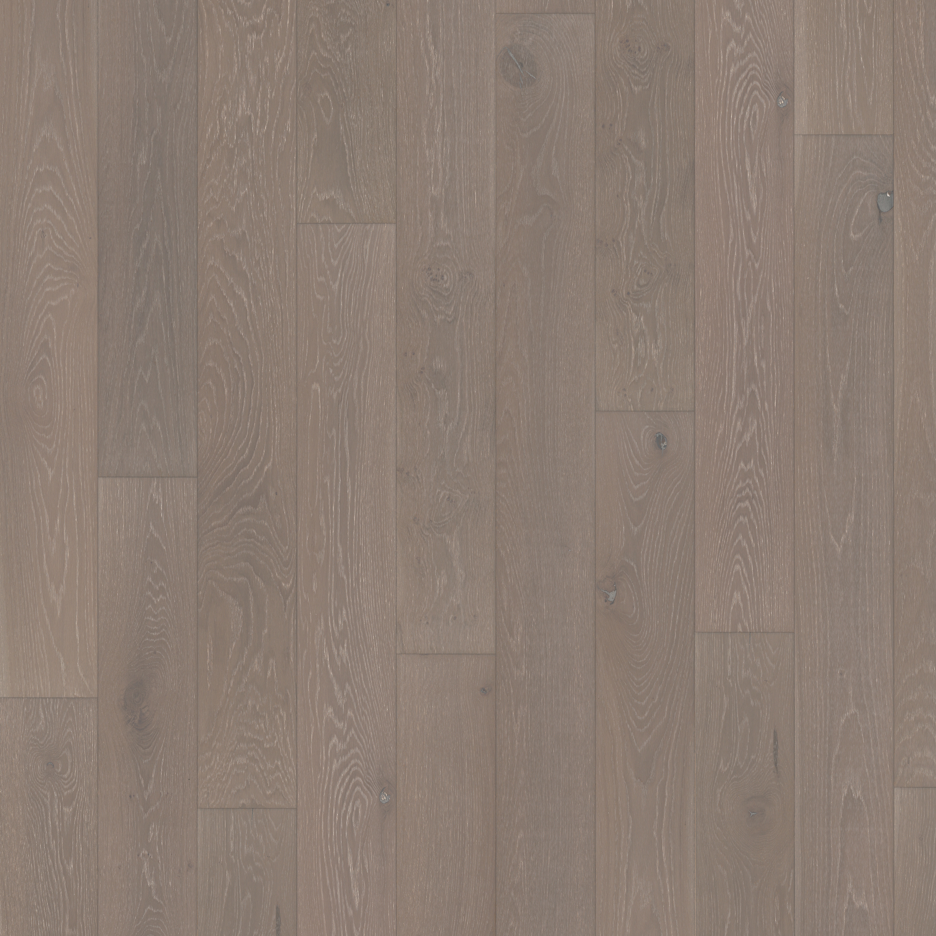 Display product Classic Nouveau | Oak Taupe from manufacturer Kährs