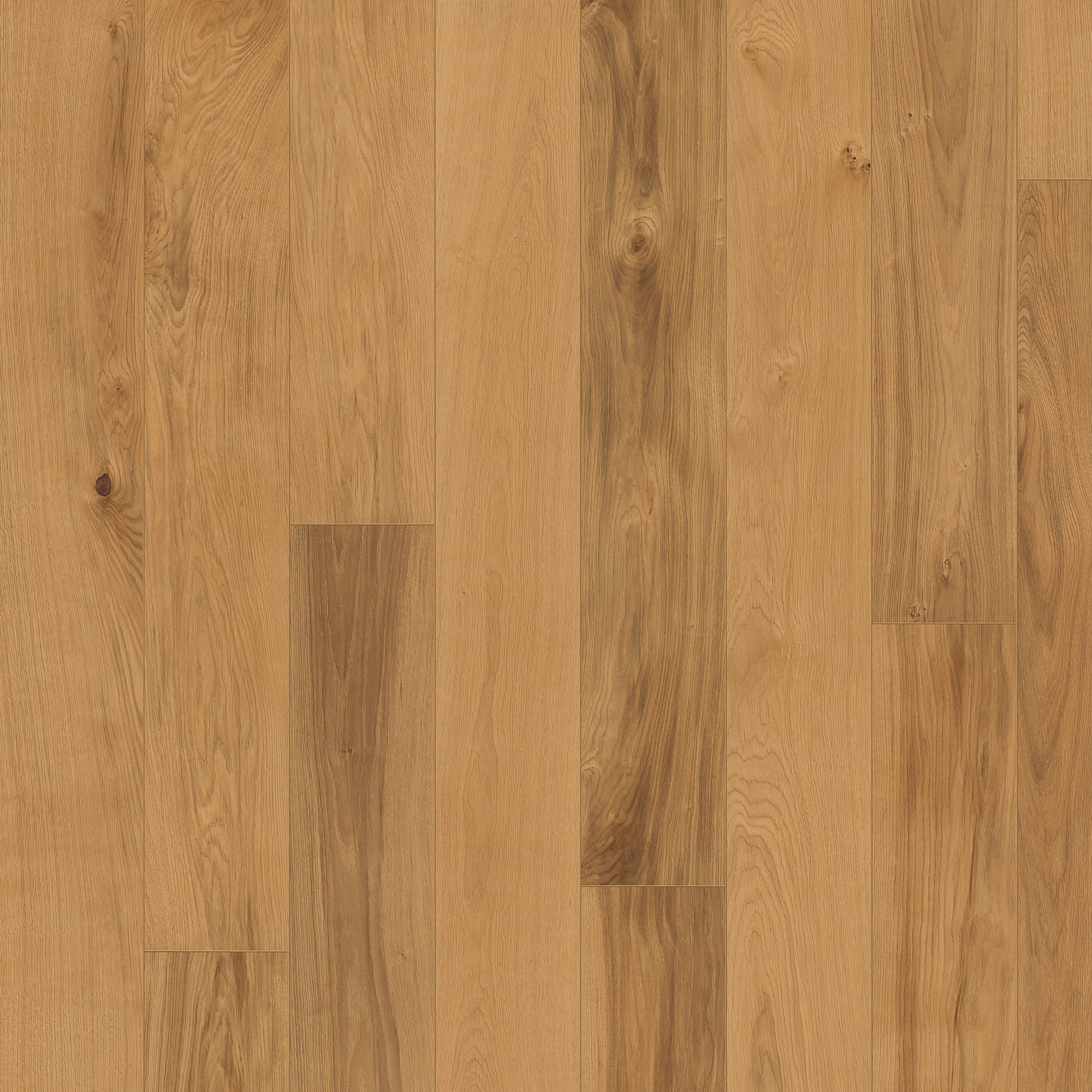 Afficher le produit European Naturals | Oak Burgundy du fabricant Kährs