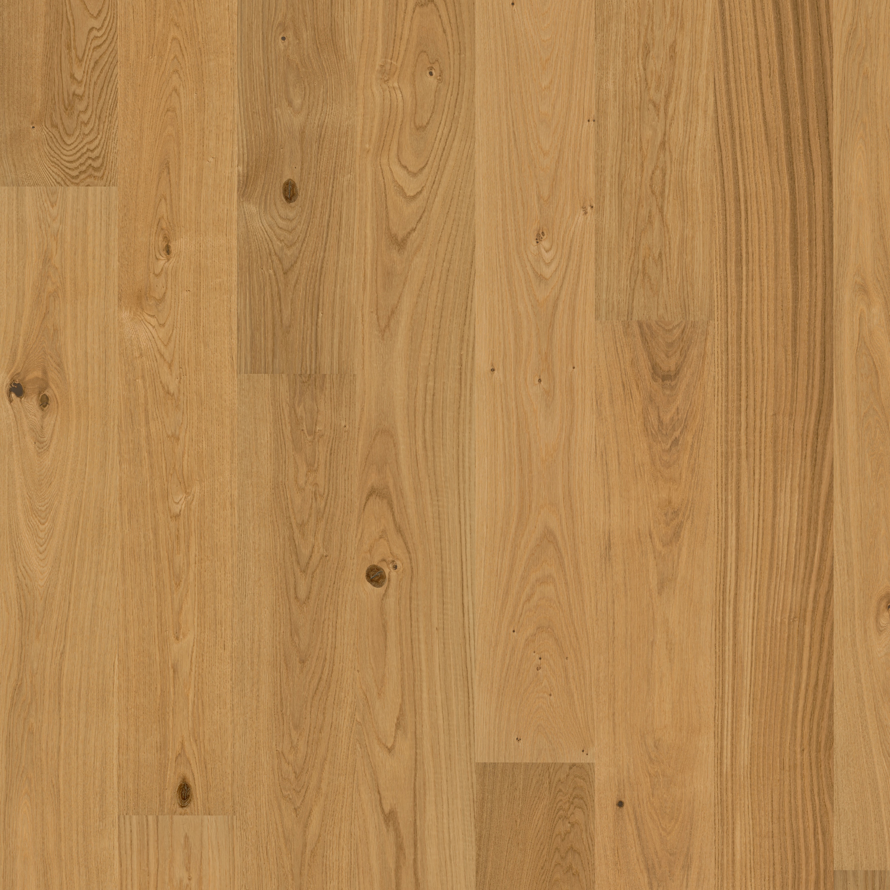 Display product European Naturals | Oak Cornwall from manufacturer Kährs