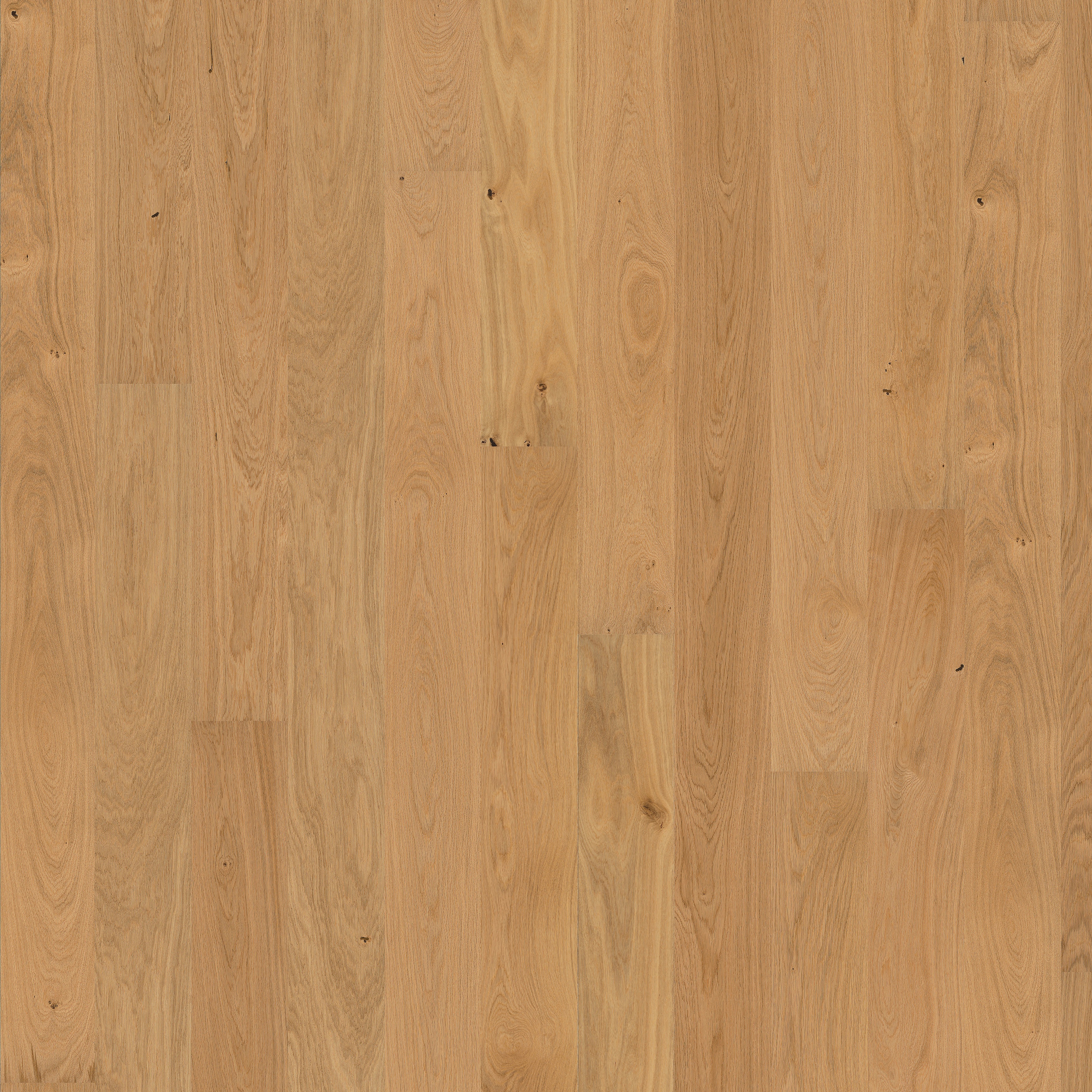 Display product European Naturals | Oak Hampshire from manufacturer Kährs