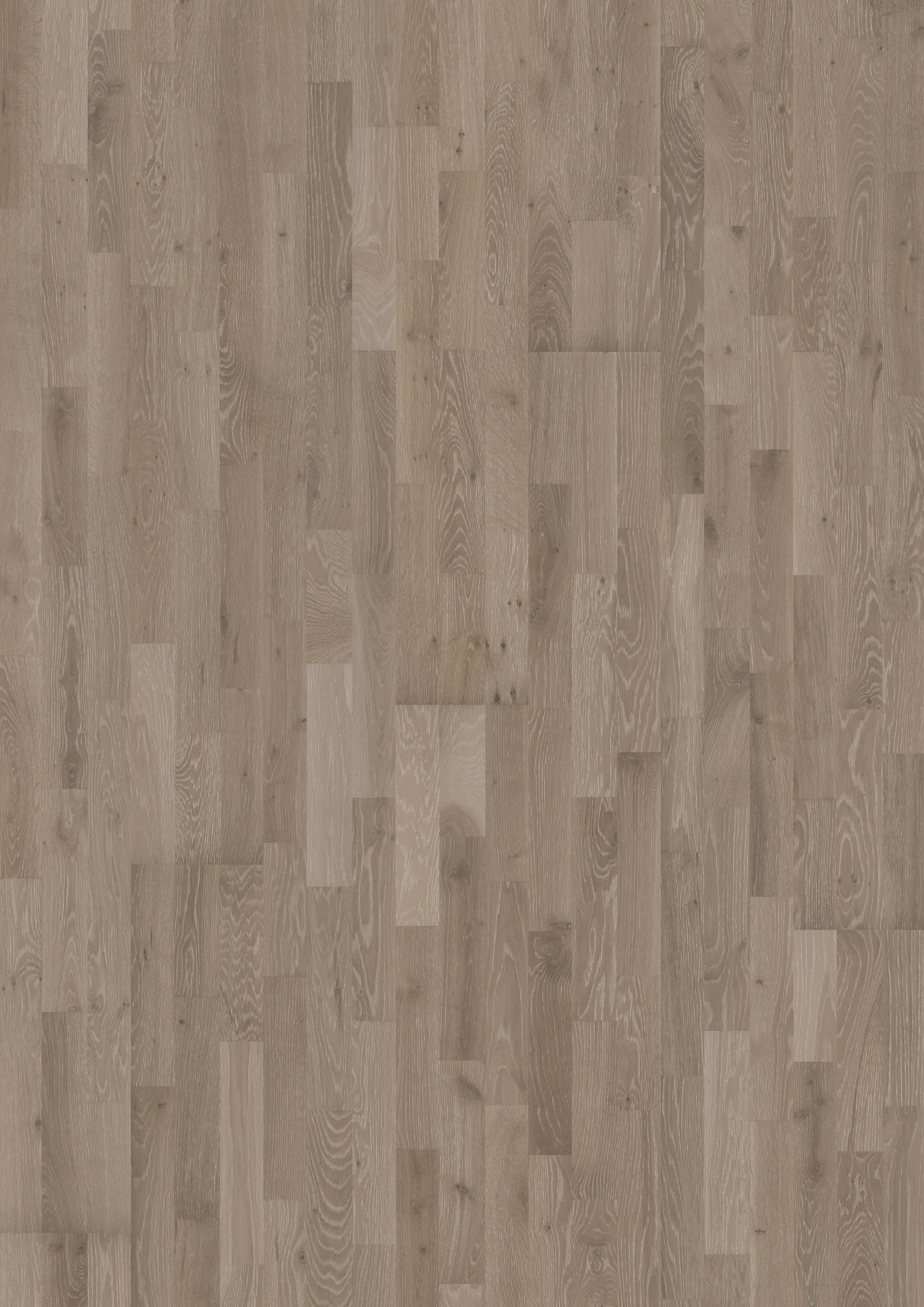 Kährs - Harmony | Oak Alloy