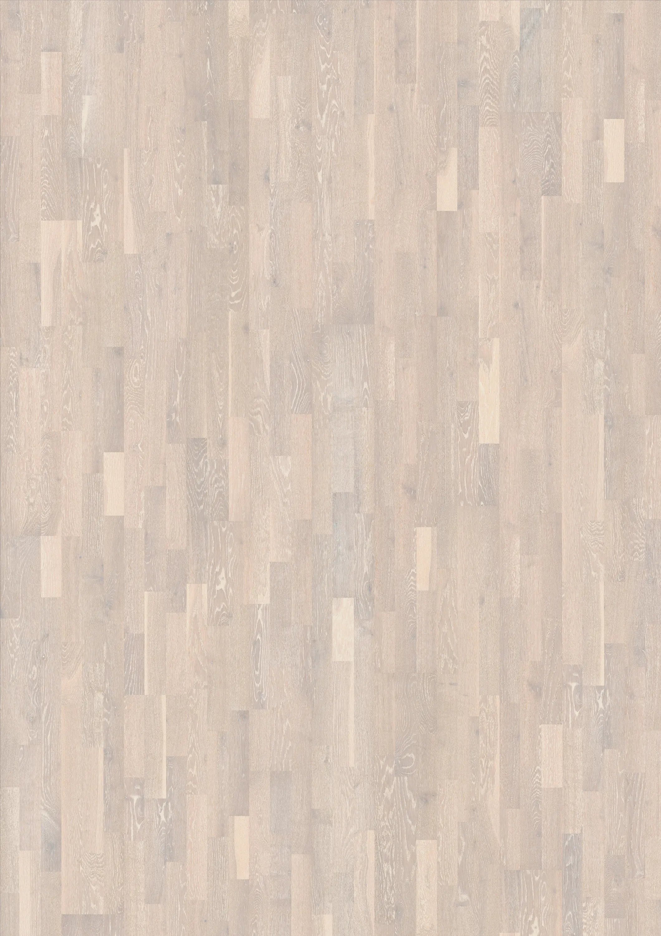 Kährs - Harmony | Oak Limestone