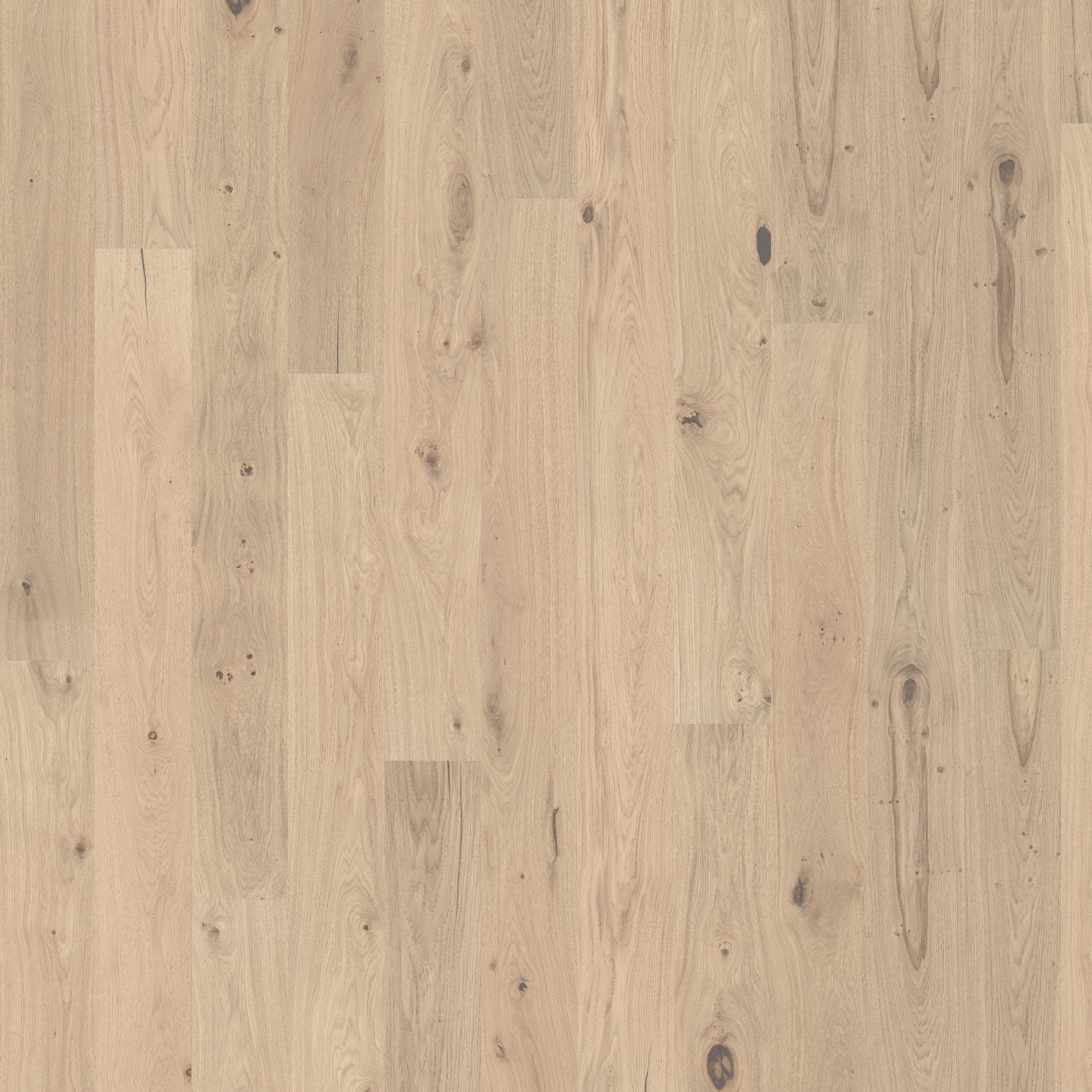 Display product Lux | Oak Aurora from manufacturer Kährs