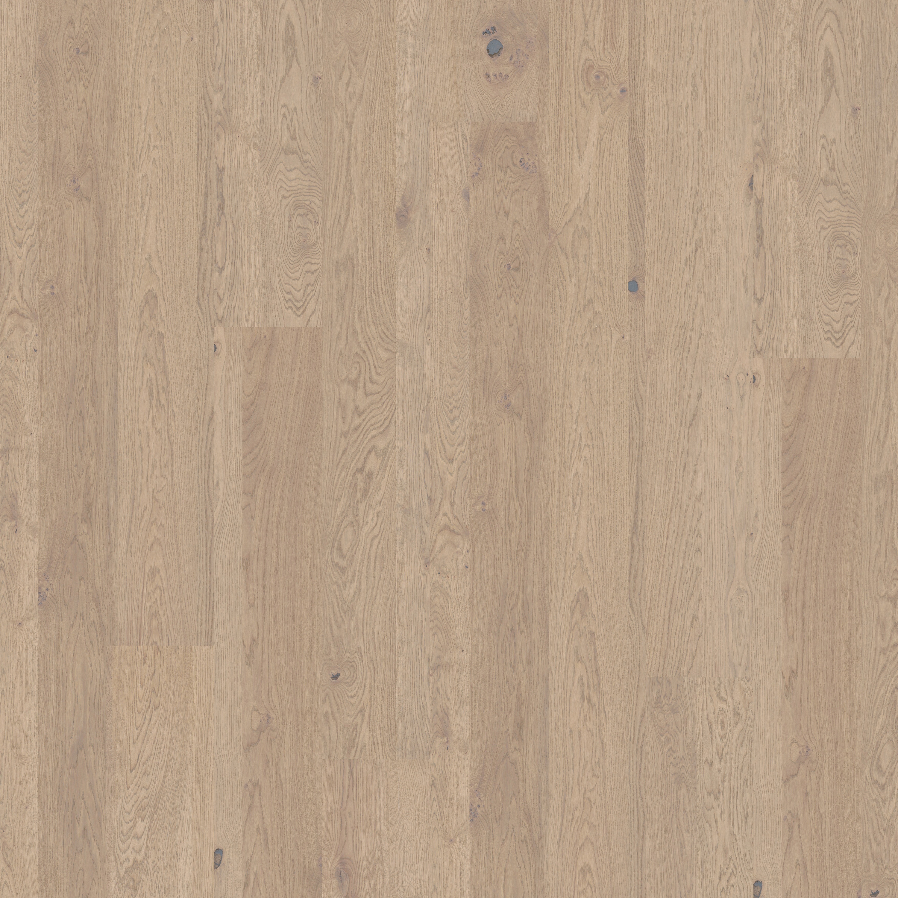 Vertoon produk Lux | Oak Coast van vervaardiger Kährs