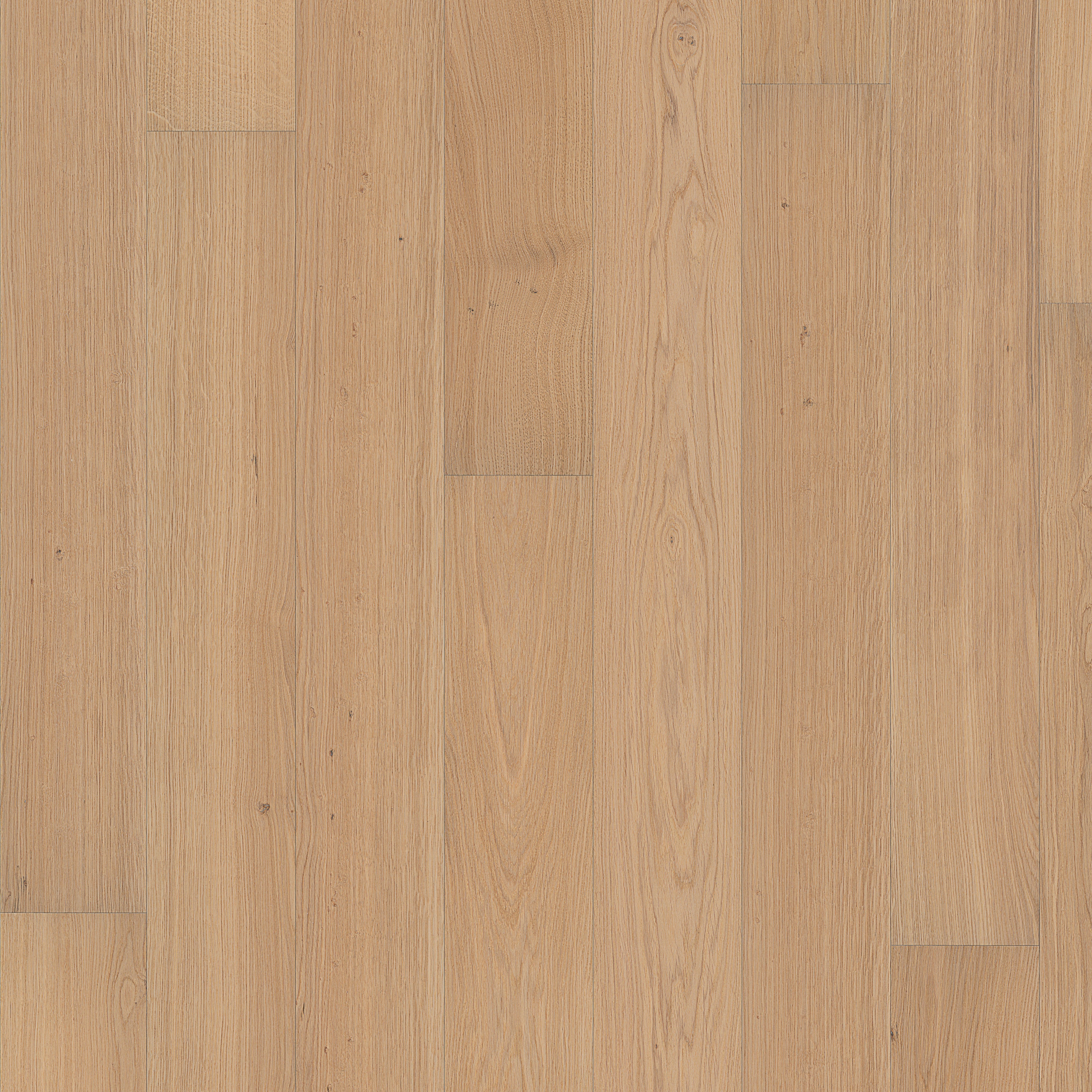 Piazza | Oak AB White 11 mm