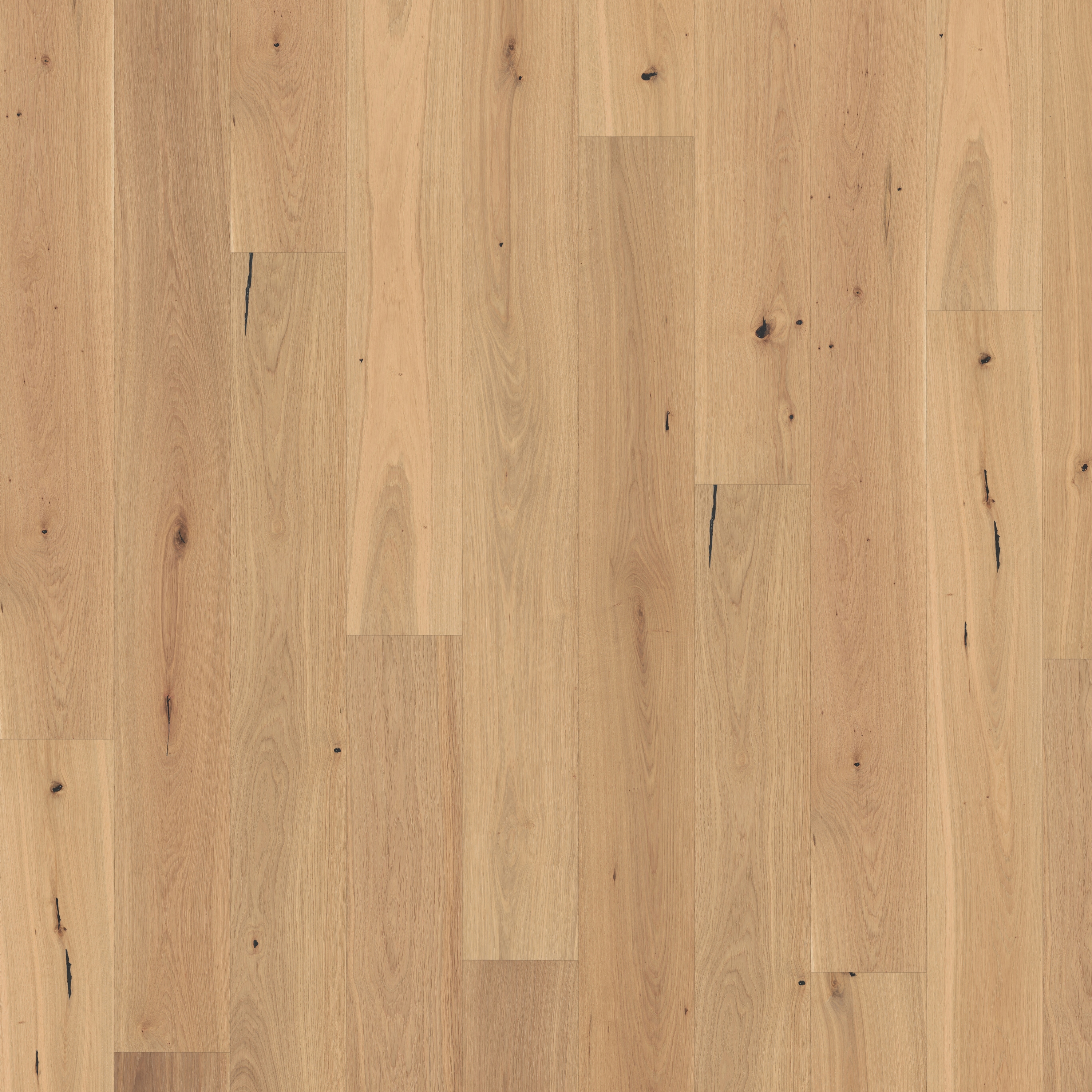 Display product Piazza | Oak CD White 11 mm from manufacturer Kährs