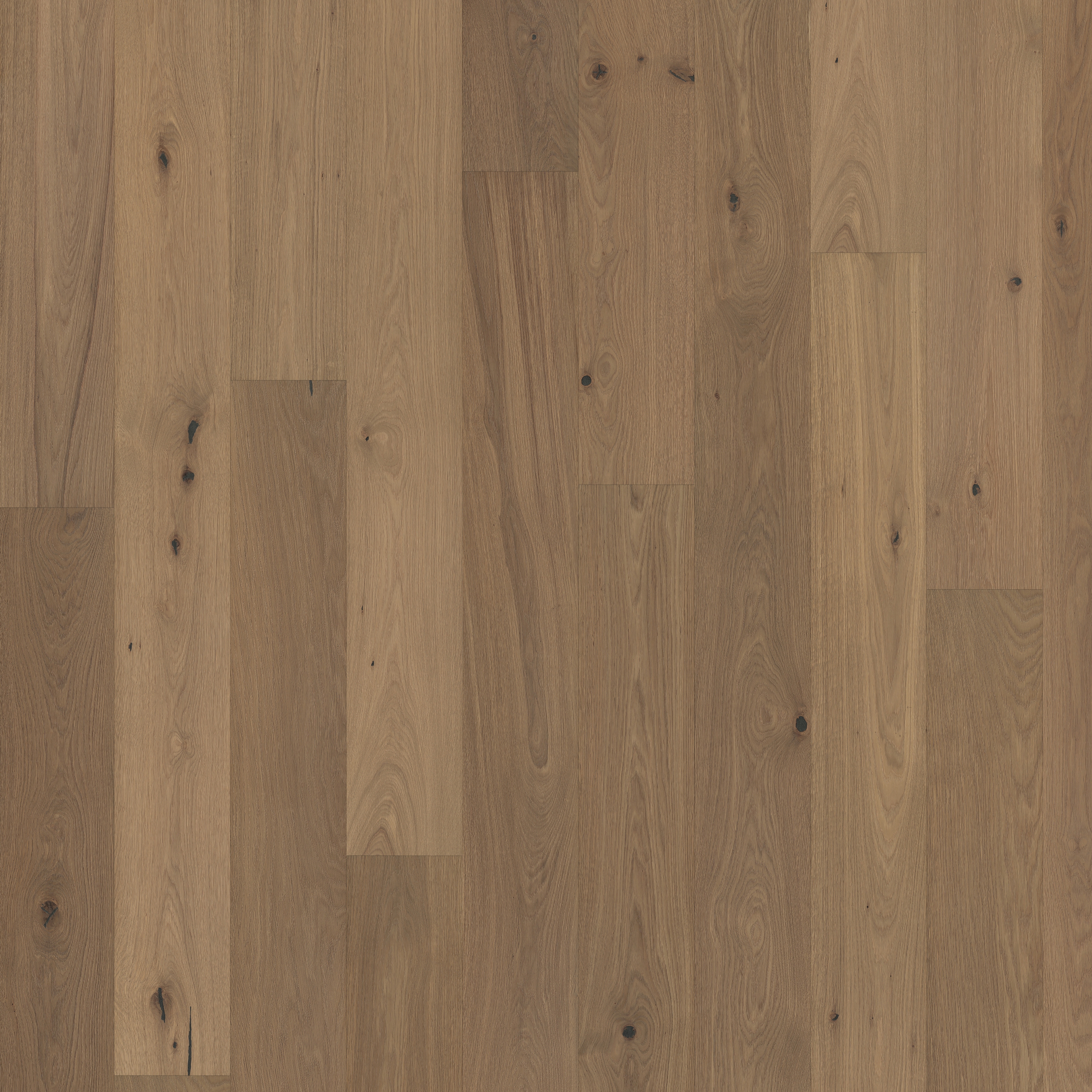Display product Piazza | Smoked Oak CD Grey from manufacturer Kährs