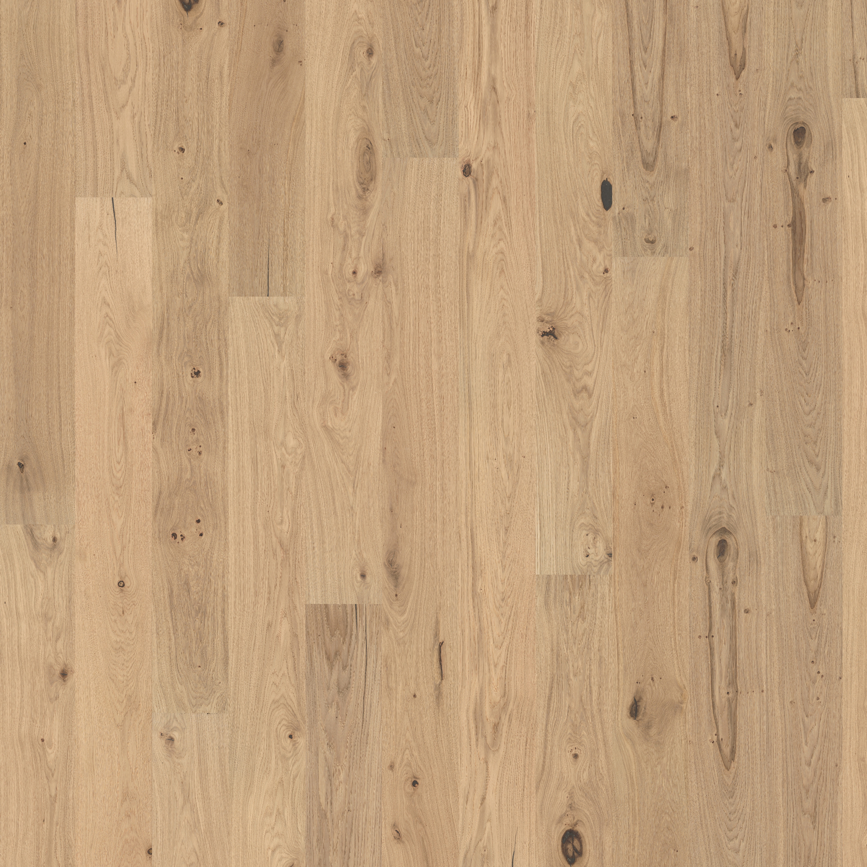 Mostrar el producto Sand | Oak Norderney del fabricante Kährs