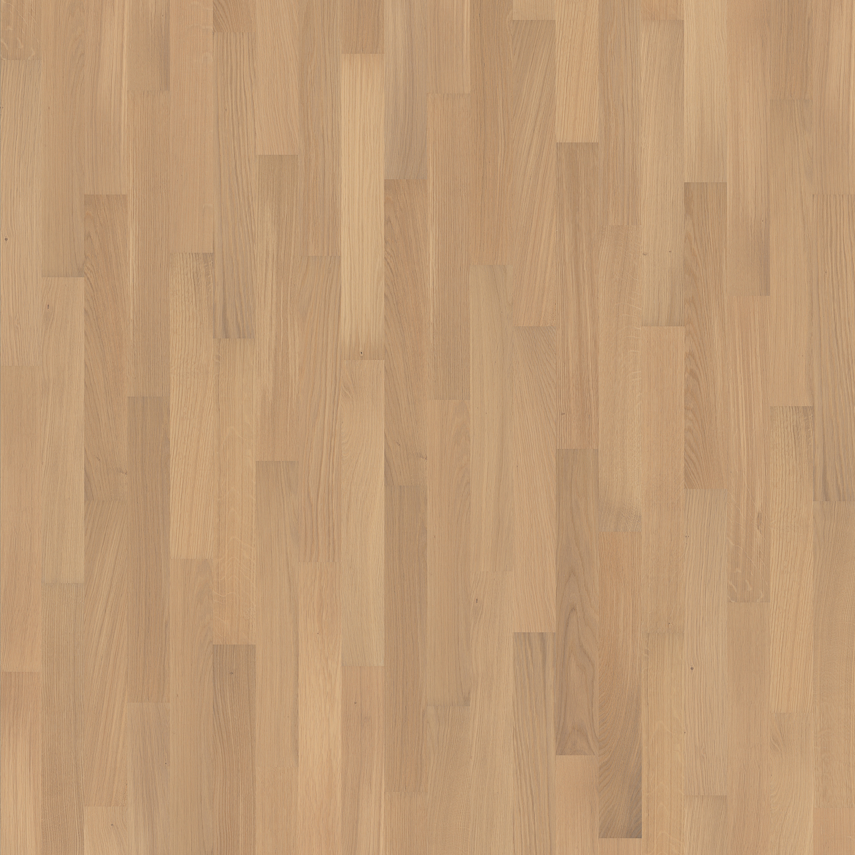 Display product Studio | Oak AB White 9 mm from manufacturer Kährs