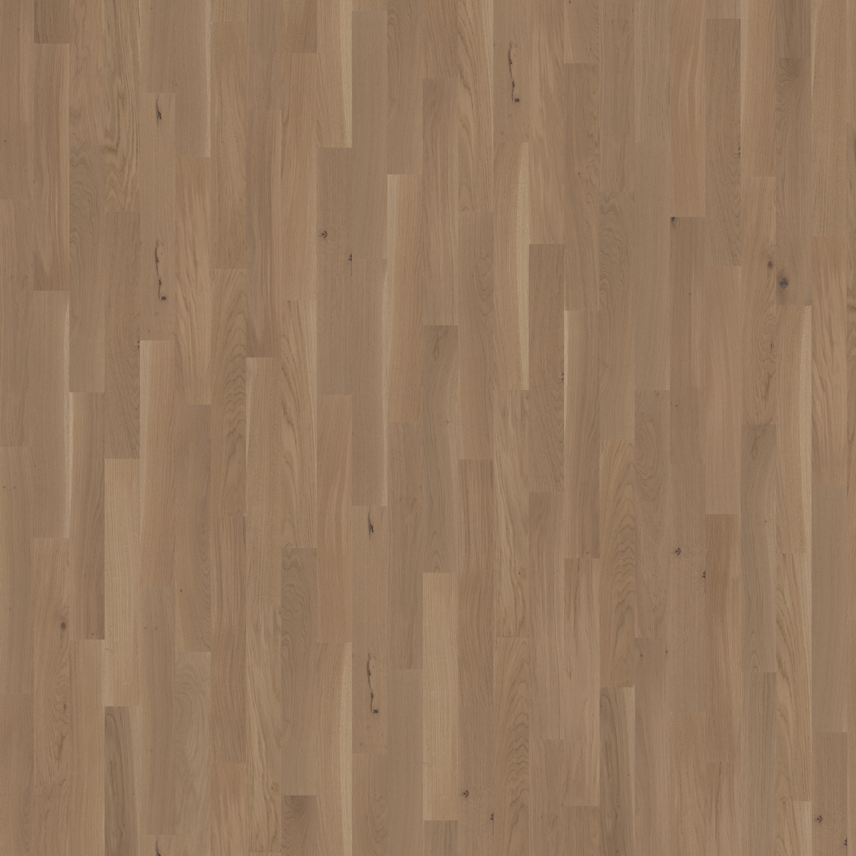 Display product Studio | Oak CC 11 mm Grey from manufacturer Kährs