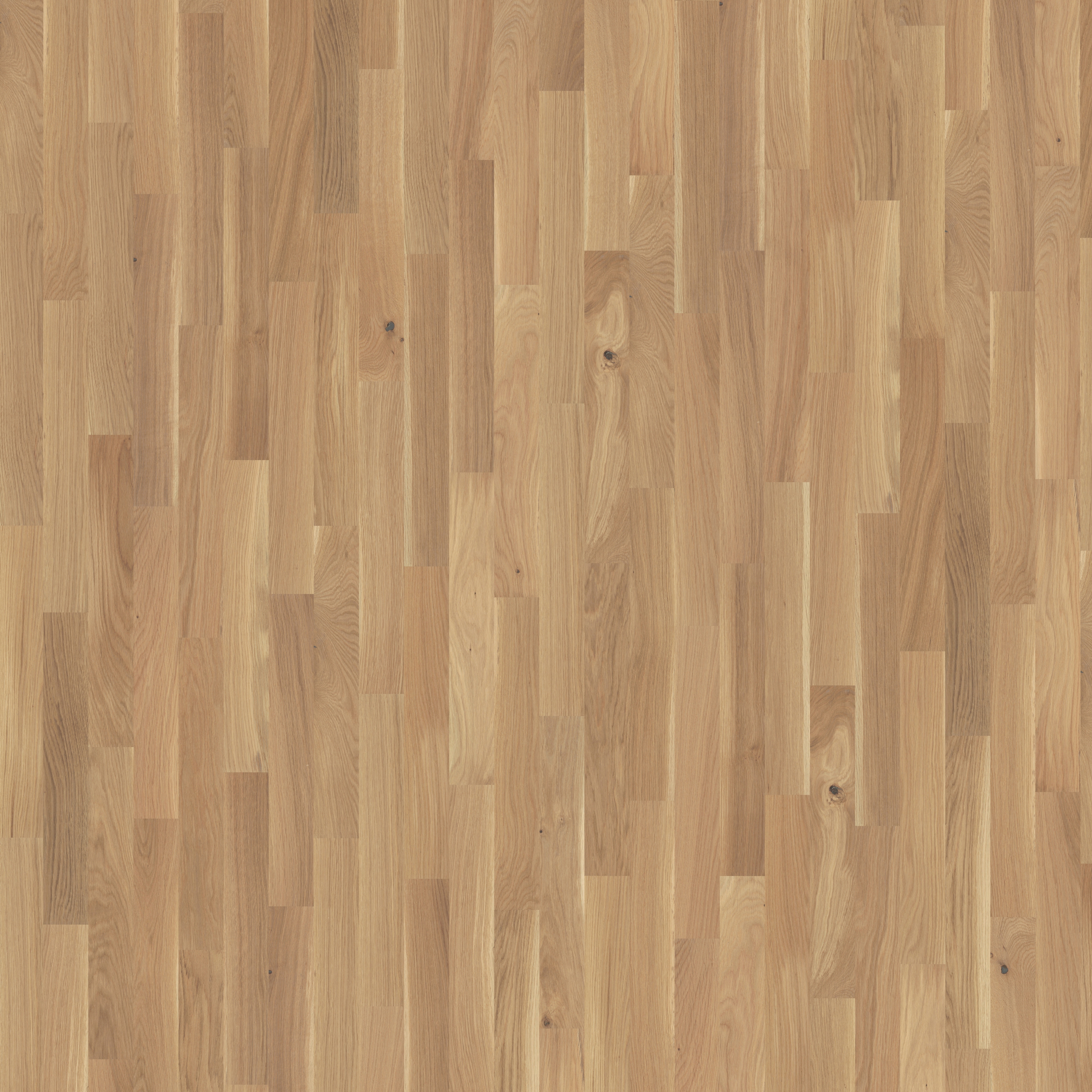Studio | Oak CC White 9 mm
