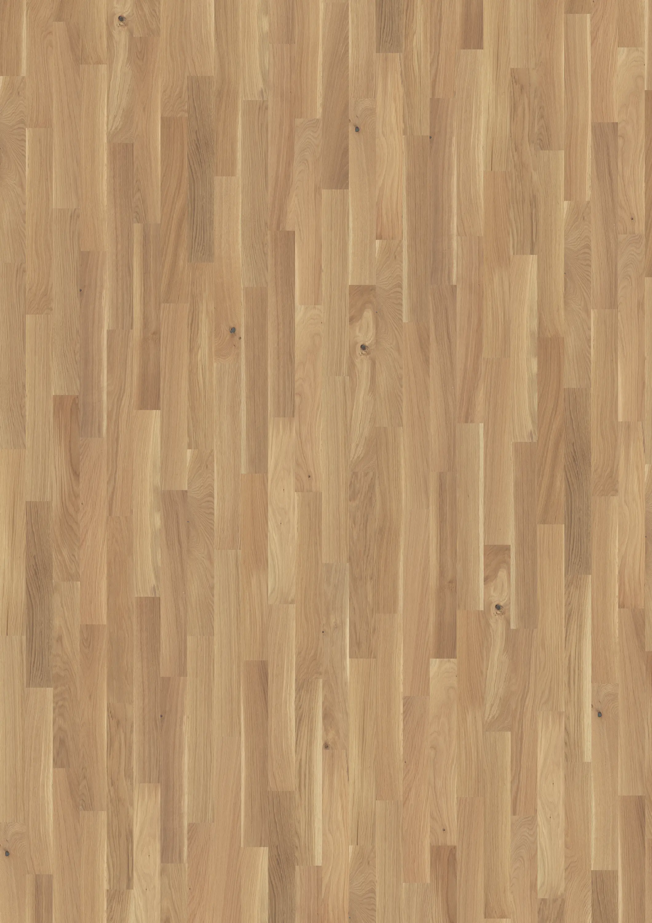 Kährs - Studio | Oak CC White 9 mm