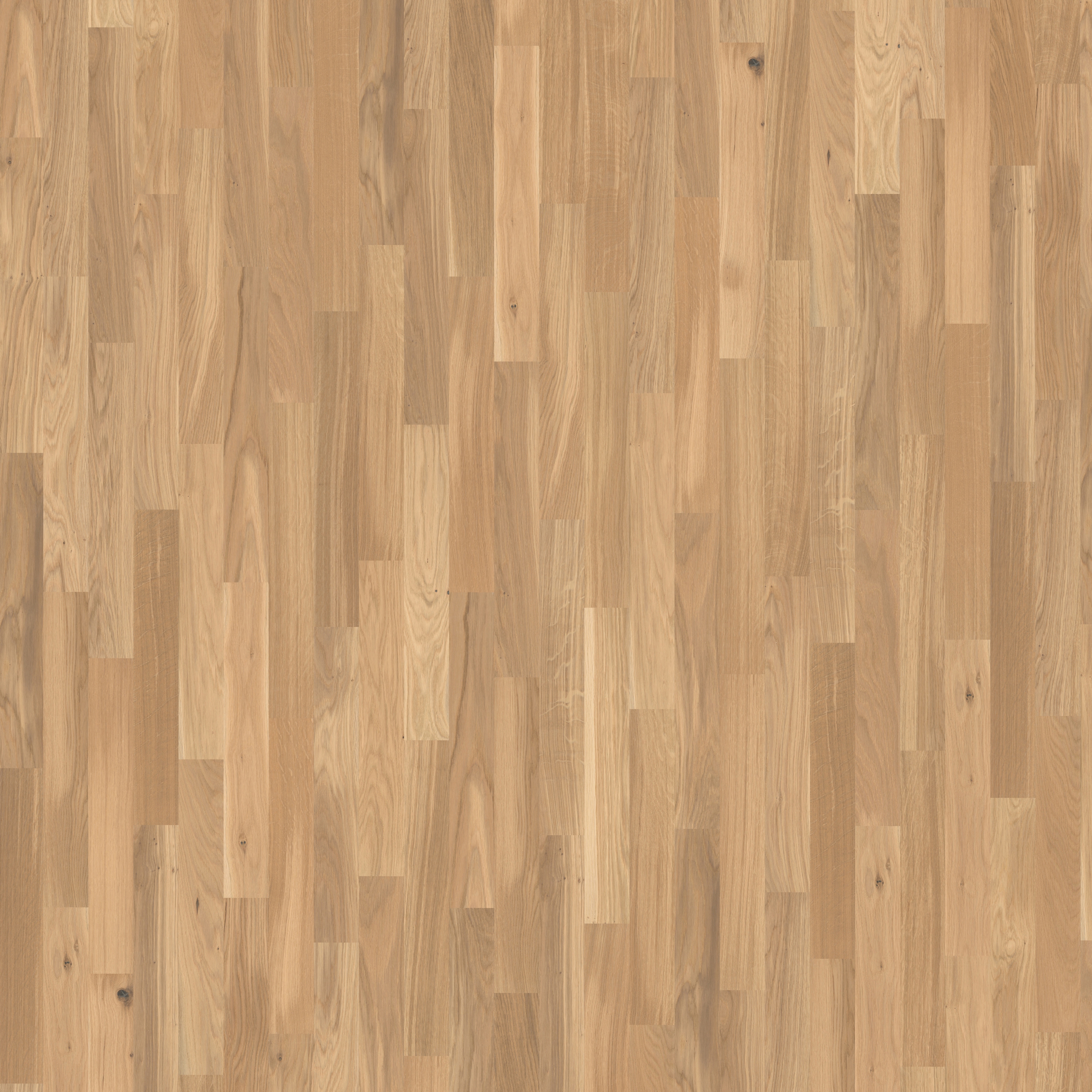 Display product Studio | Oak CC White 11 mm from manufacturer Kährs