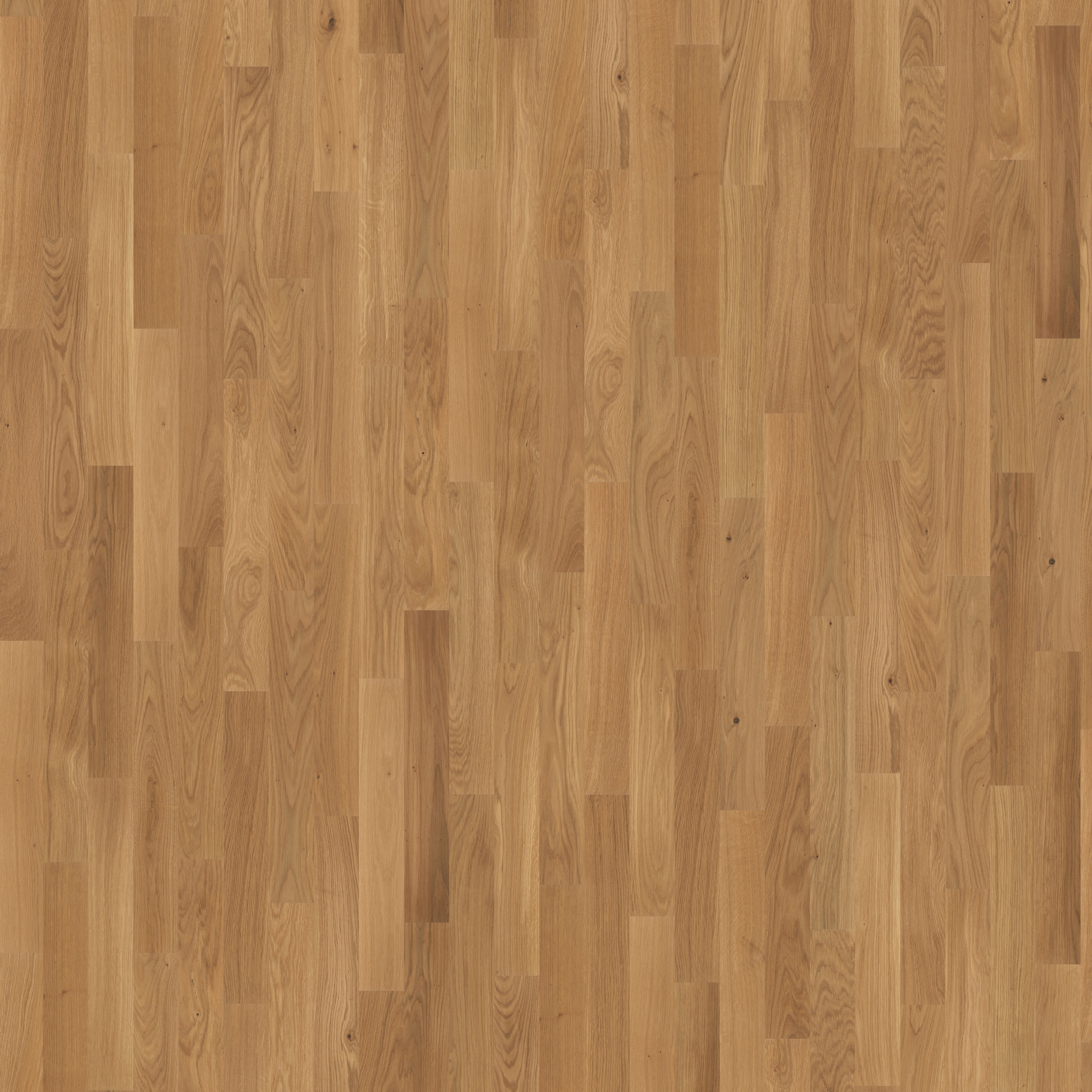 Display product Studio | Oak CD 9 mm from manufacturer Kährs