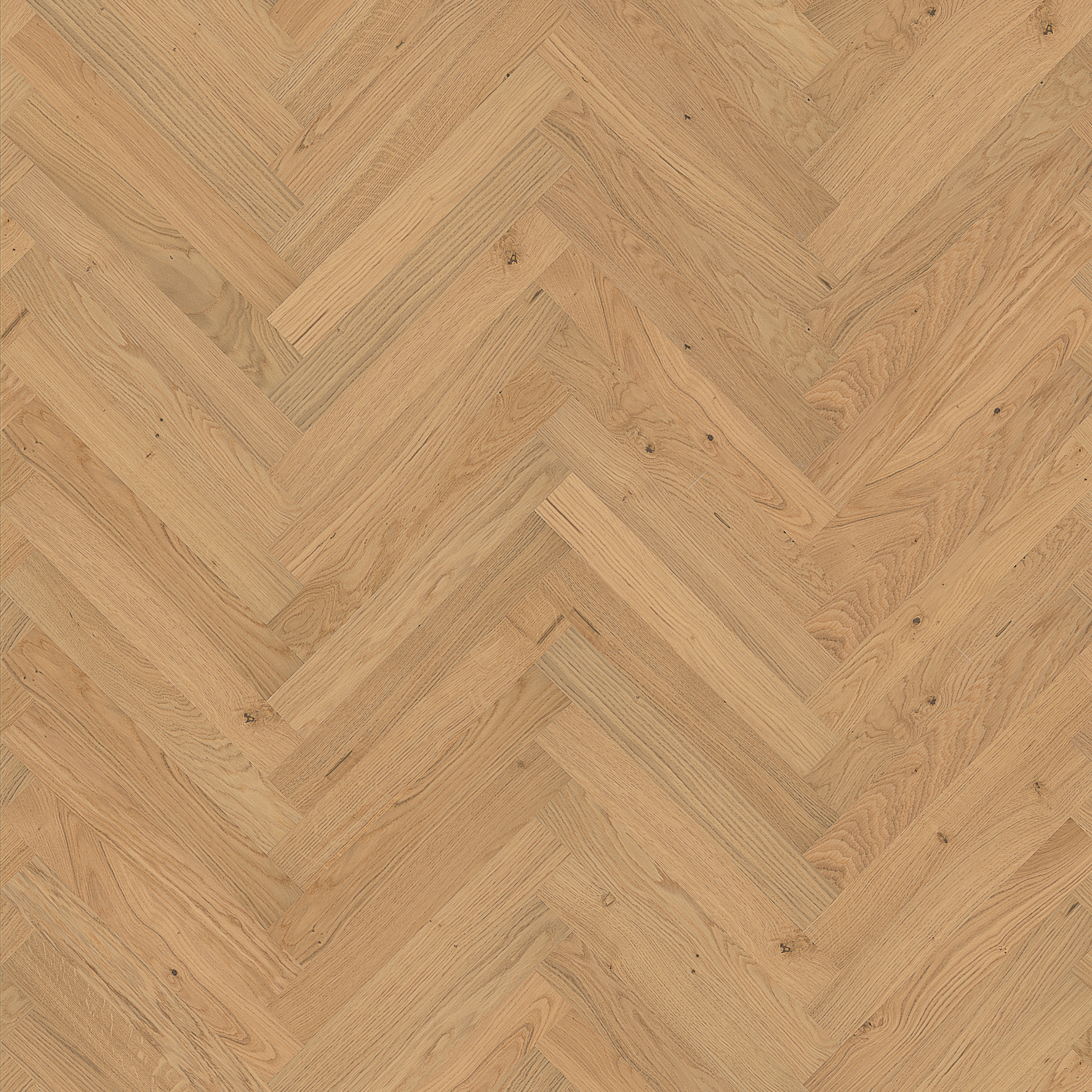 Display product Studio | Oak CD 11 mm from manufacturer Kährs
