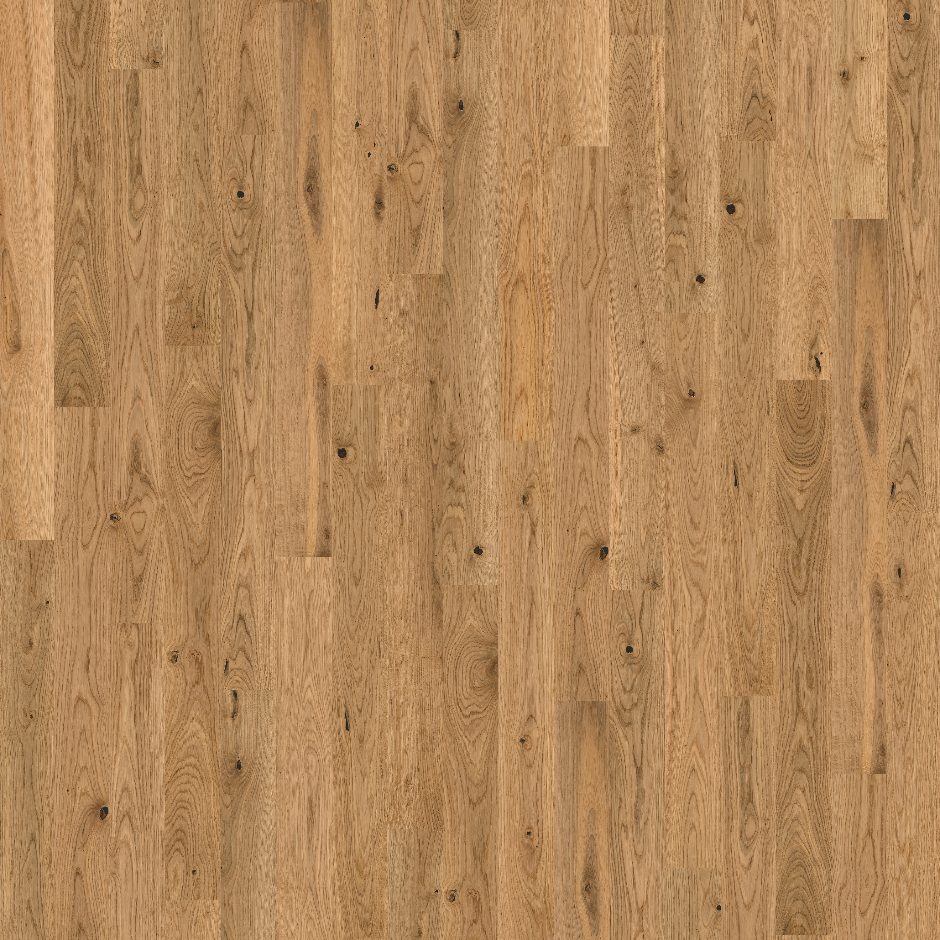 Display product Studio | Oak CD from manufacturer Kährs
