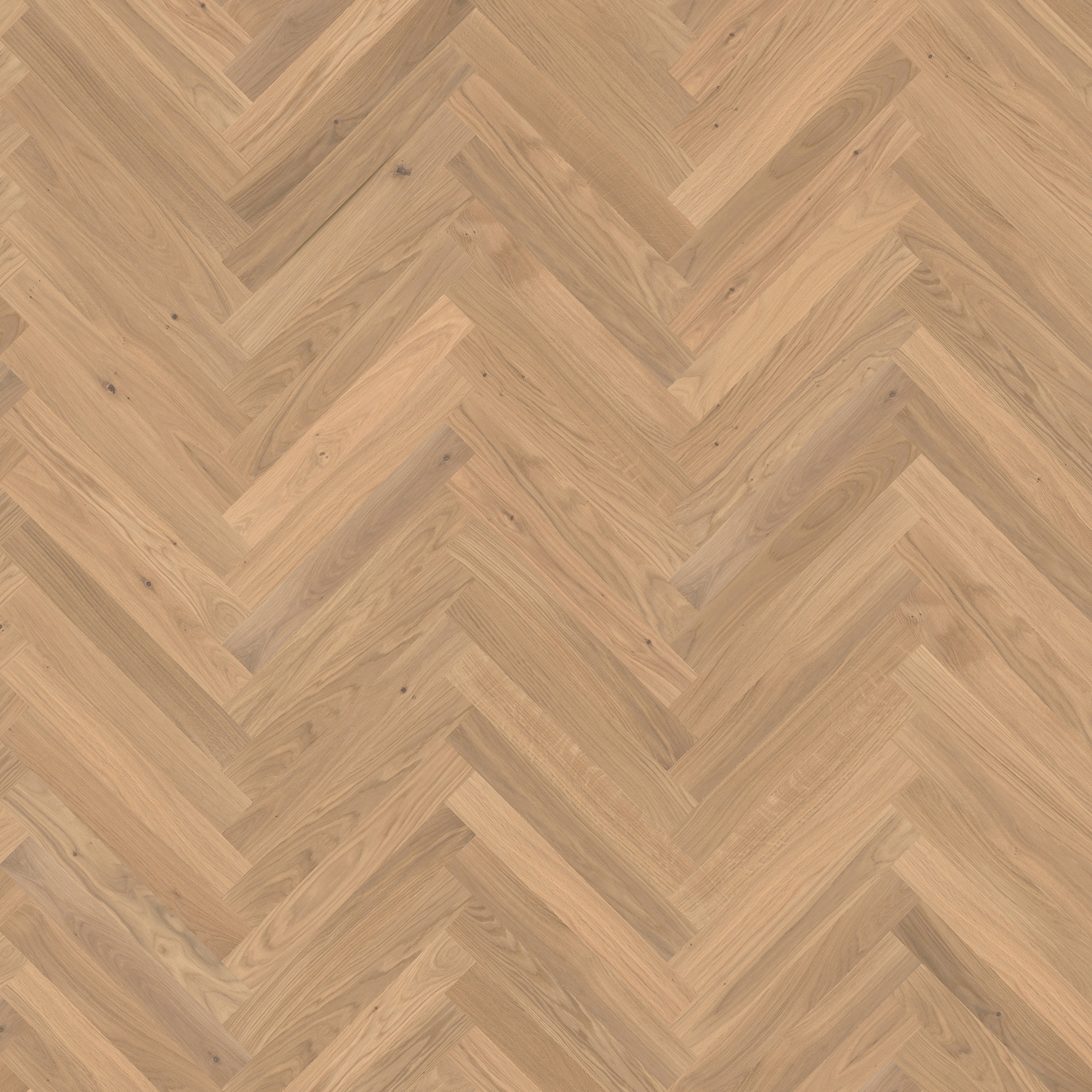 Display product Studio | Oak CD White 11 mm from manufacturer Kährs