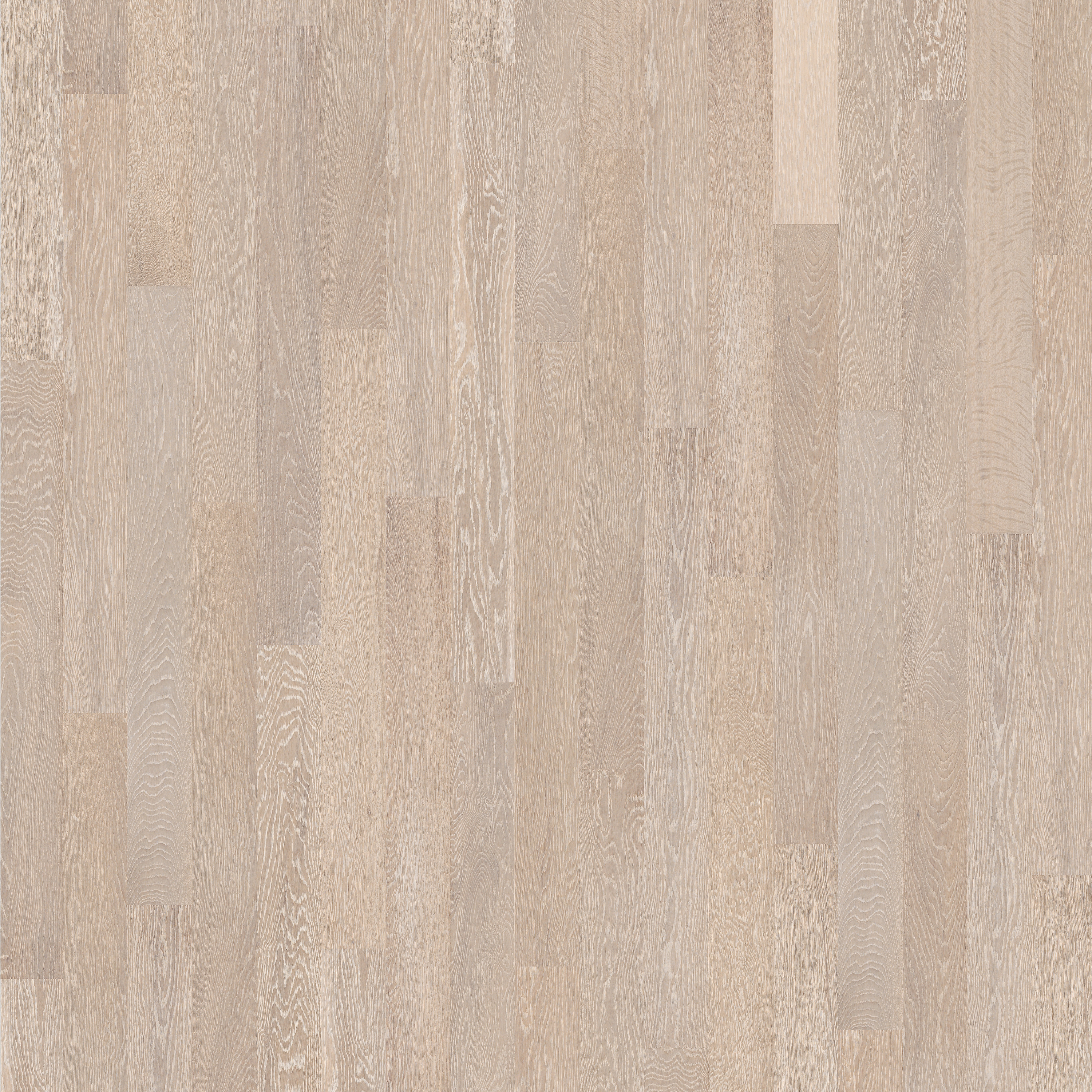 Unity | Arctic Oak
