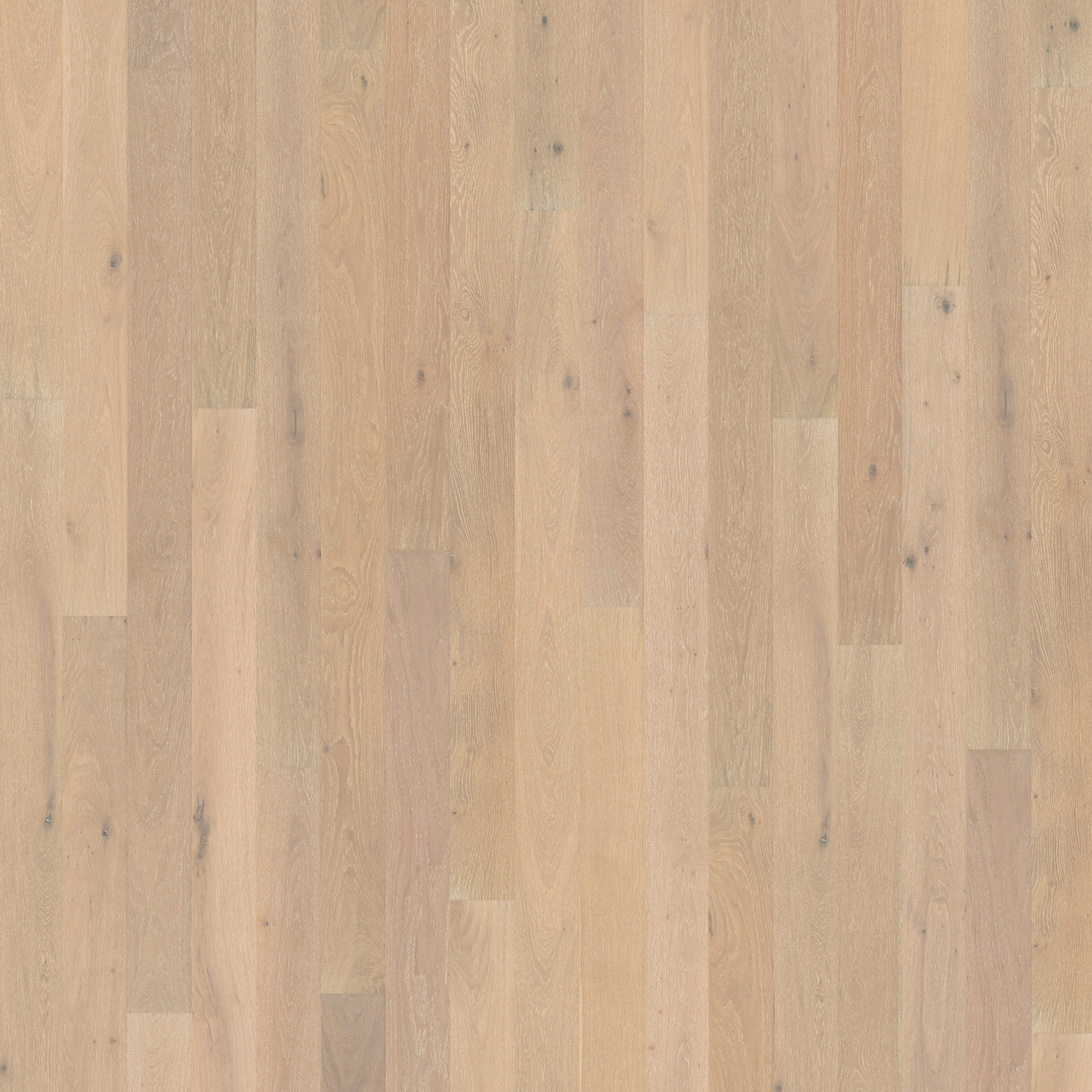 Display product Unity | Powder Oak from manufacturer Kährs