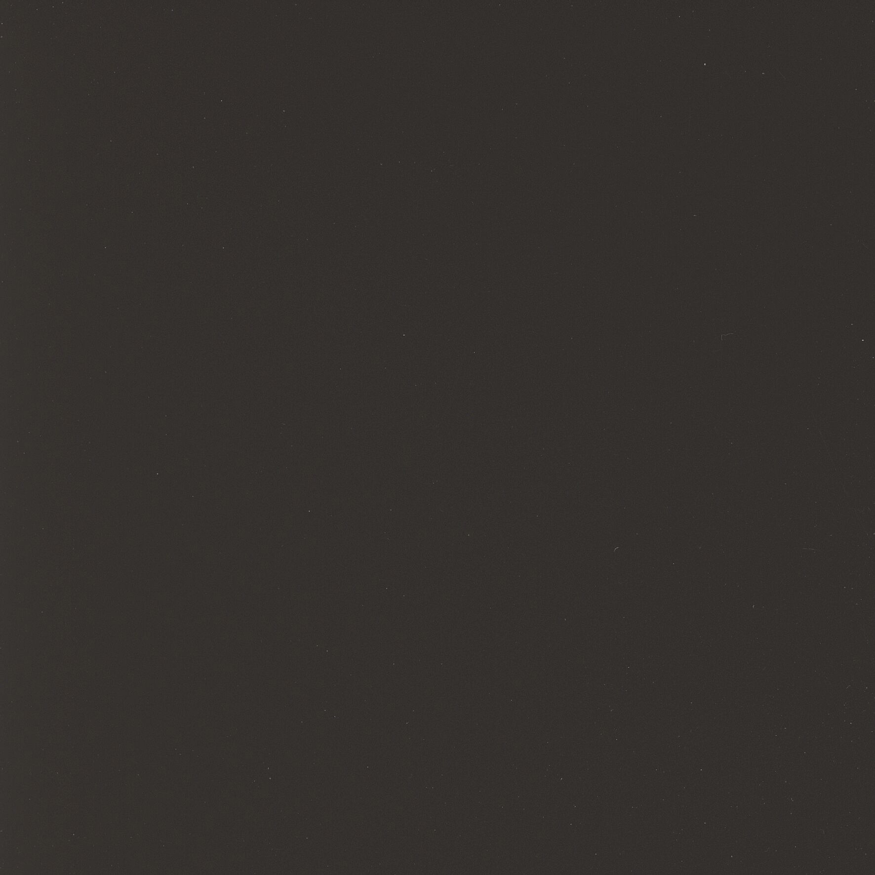 Quartz Uni | 8019 Spinel Black